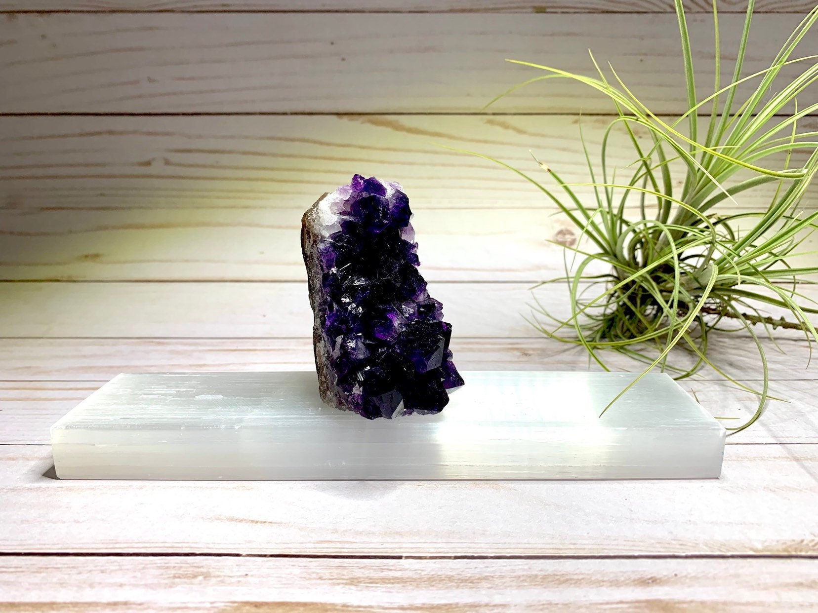 8" Polished Selenite Charging Station