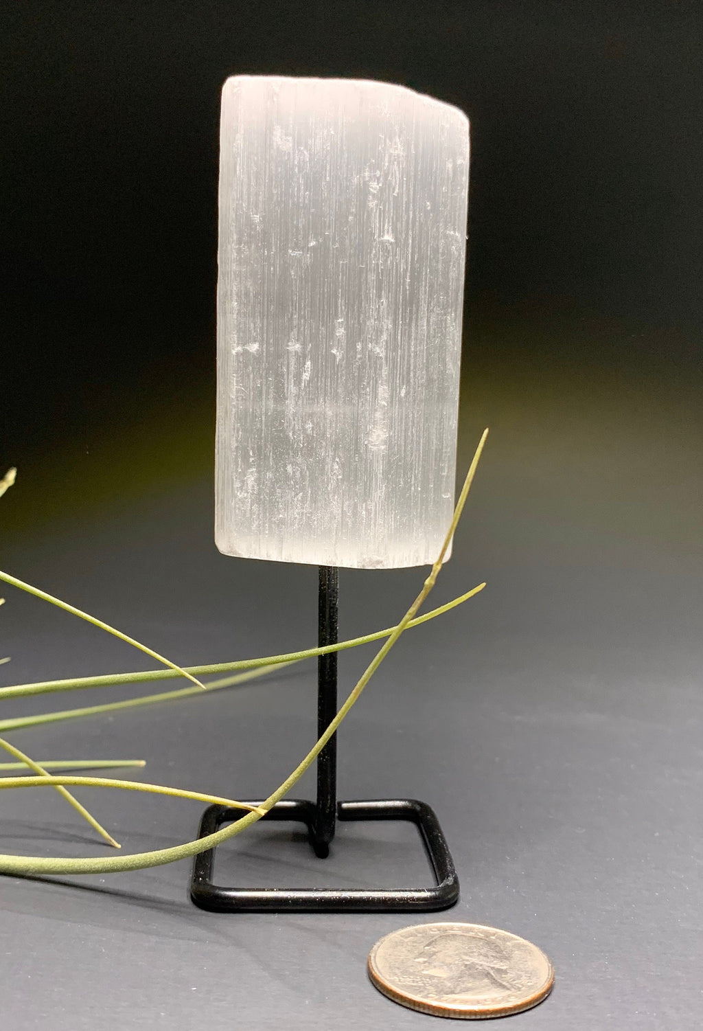Selenite Crystal Log on Stand