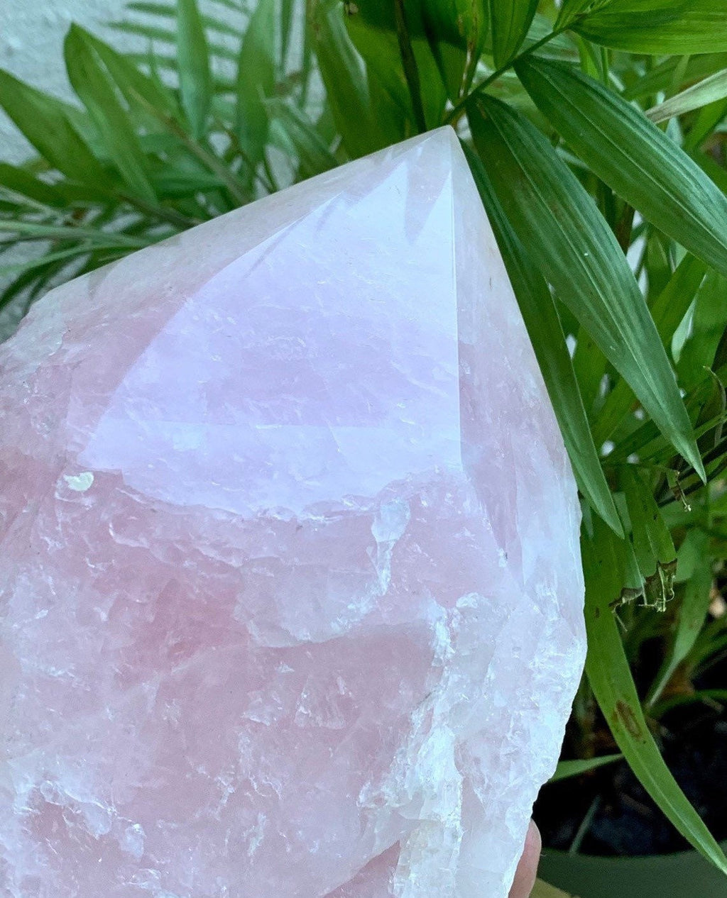 Rose Quartz Crystal Lamp, Rose Quartz Lamp with Polished Point