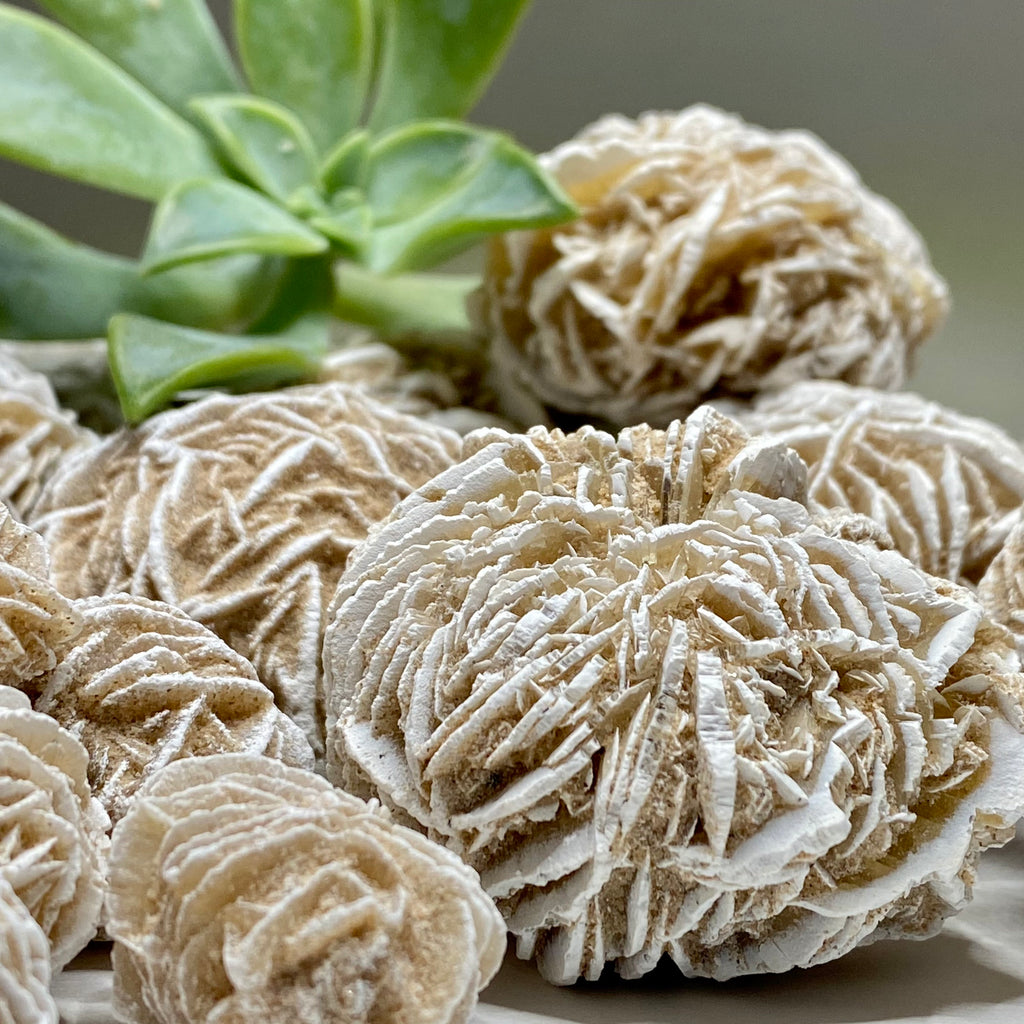Natural Desert Rose Selenite Crystal Cluster