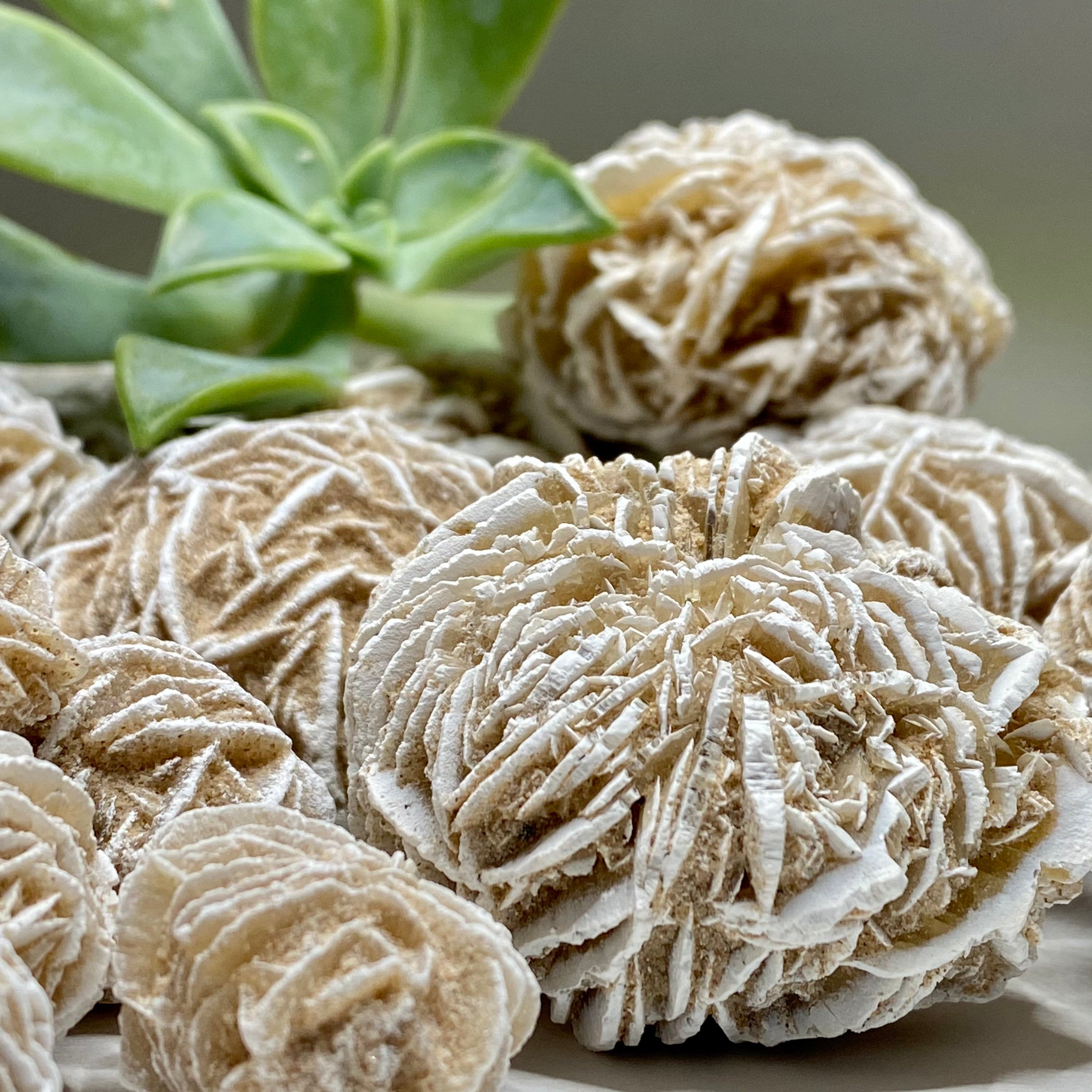 Natural Desert Rose Selenite Crystal Cluster