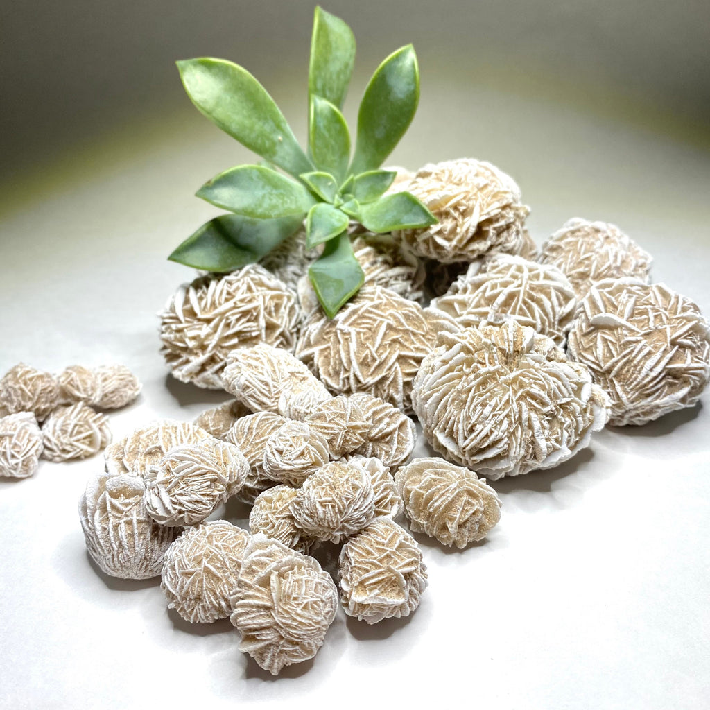 Natural Desert Rose Selenite Crystal Cluster
