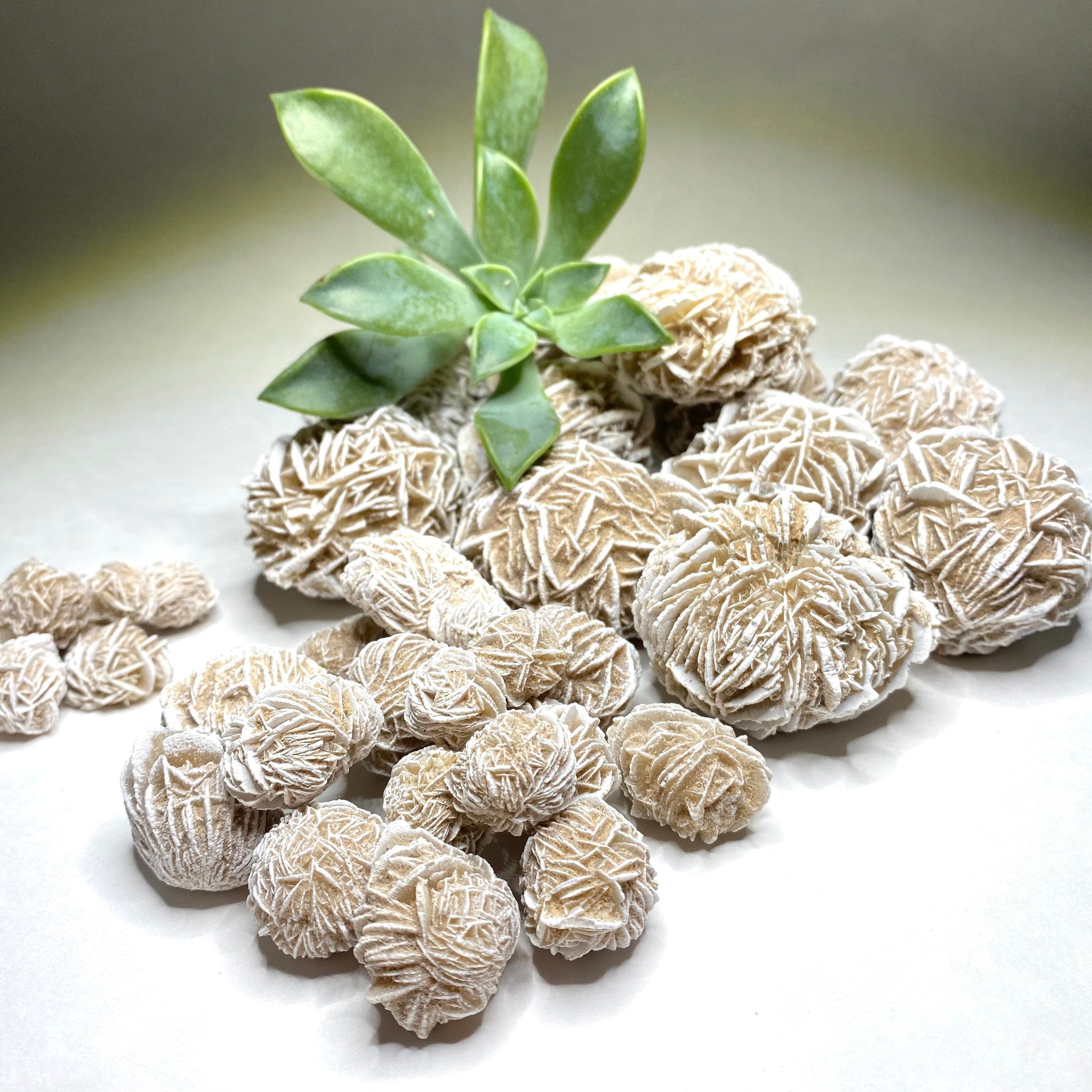 Natural Desert Rose Selenite Crystal Cluster