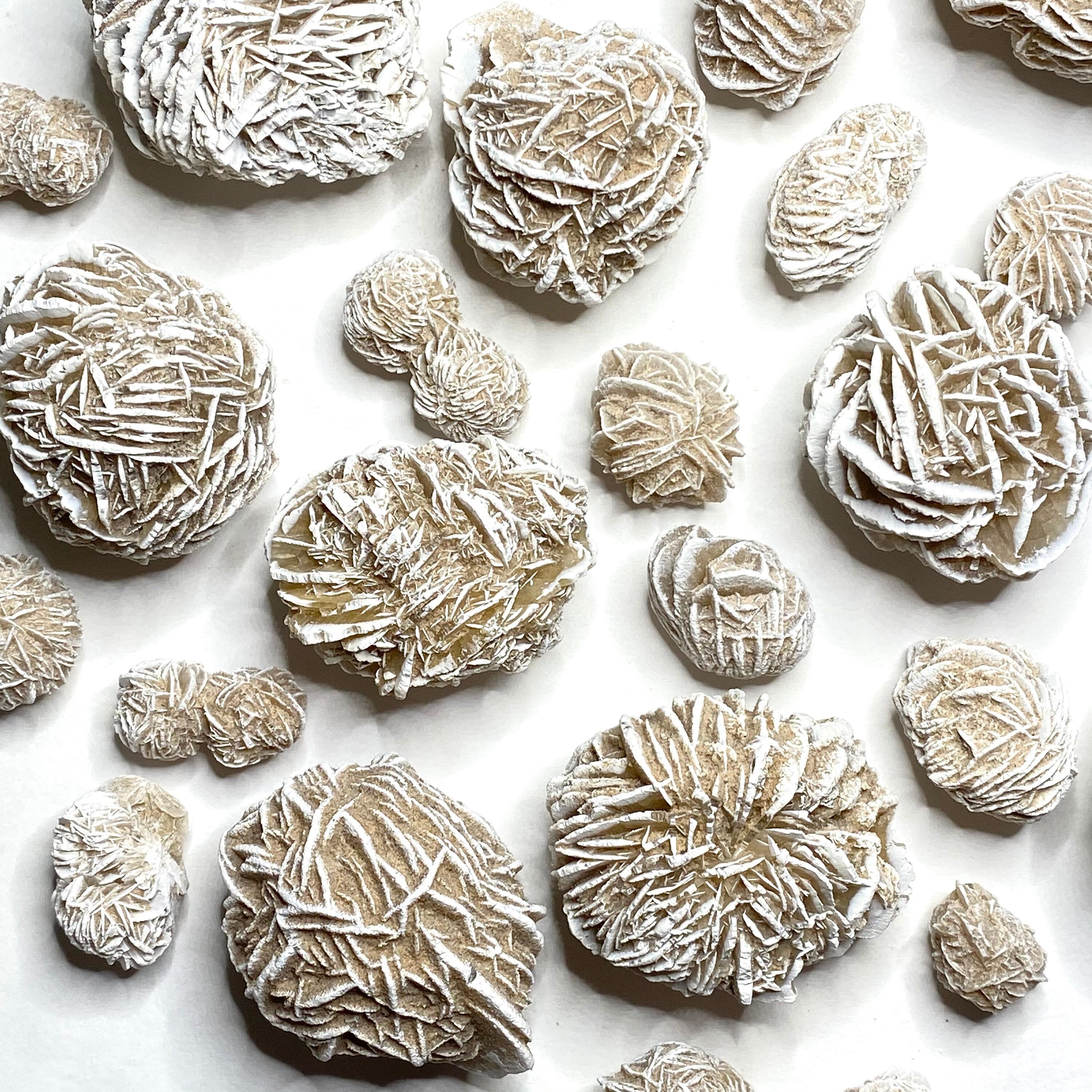 Natural Desert Rose Selenite Crystal Cluster