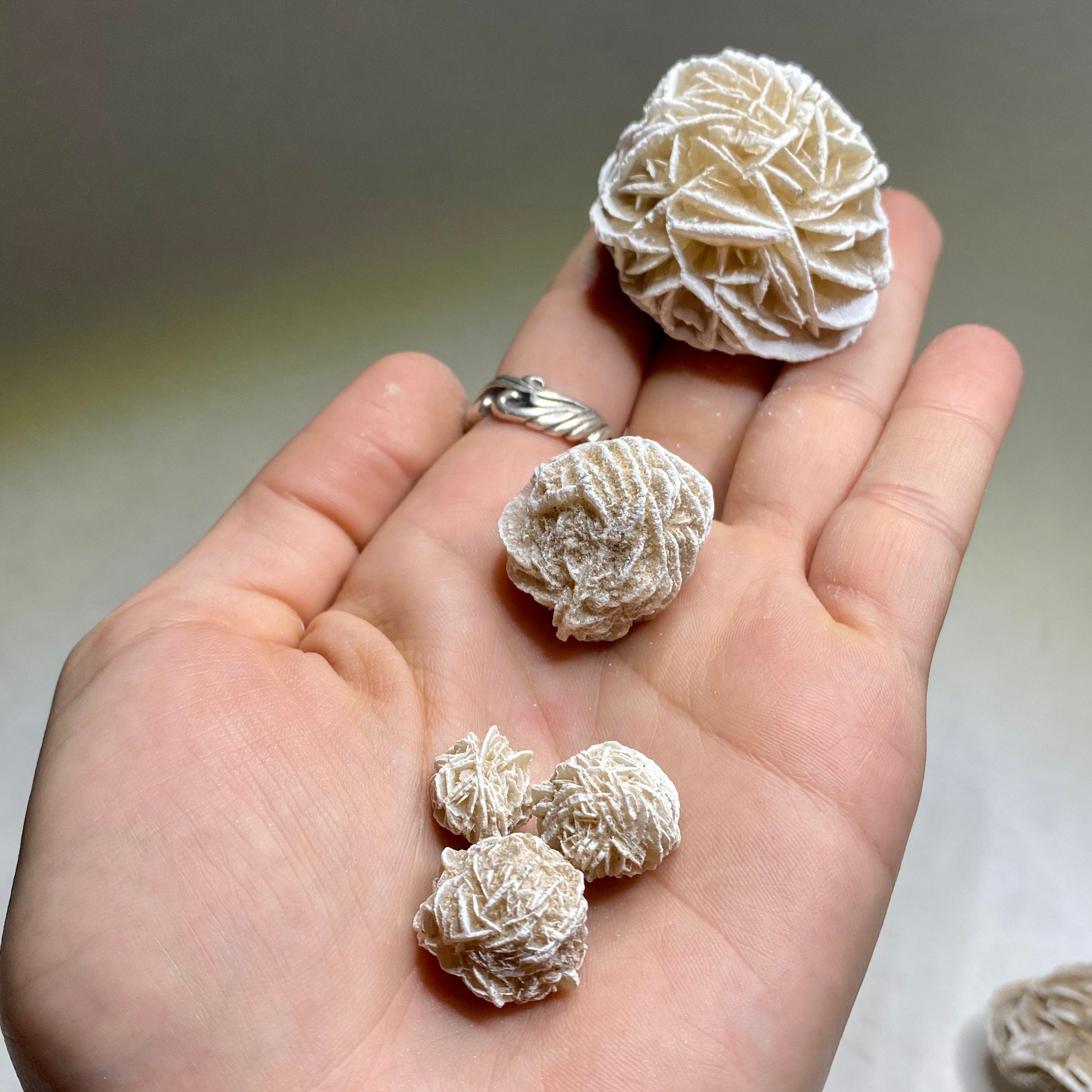 Natural Desert Rose Selenite Crystal Cluster