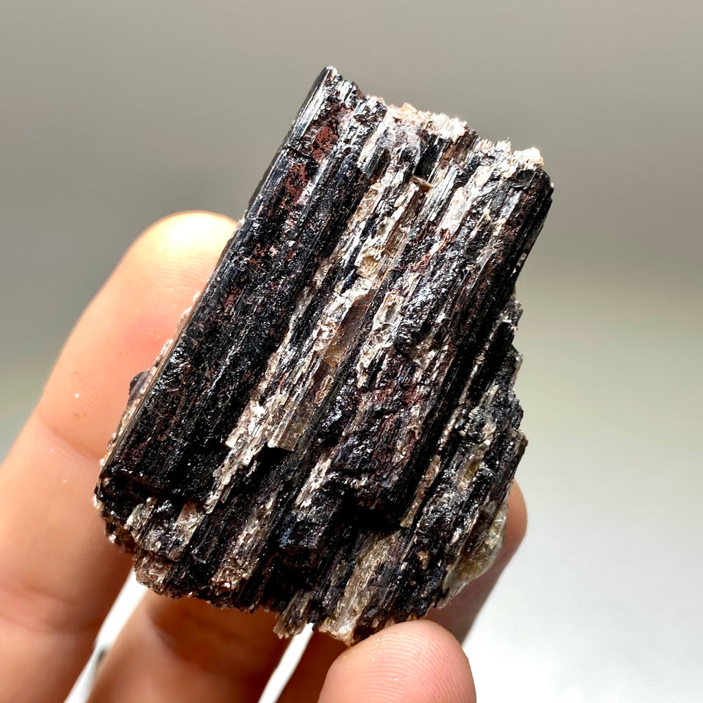 Black Tourmaline Crystal with Mica