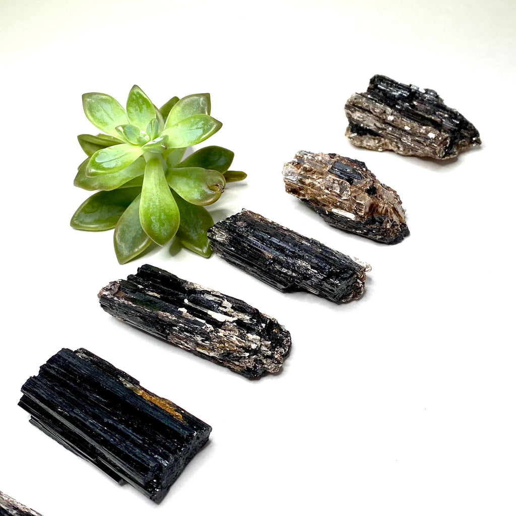 Black Tourmaline Crystal with Mica