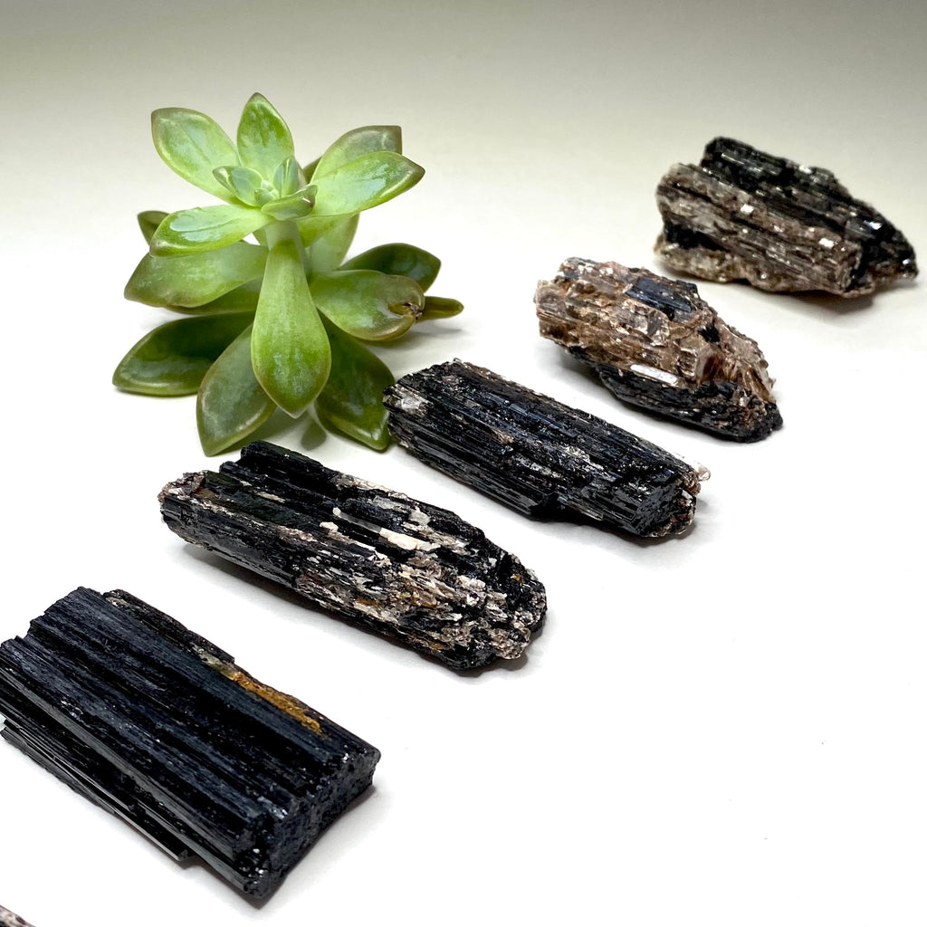 Black Tourmaline Crystal with Mica