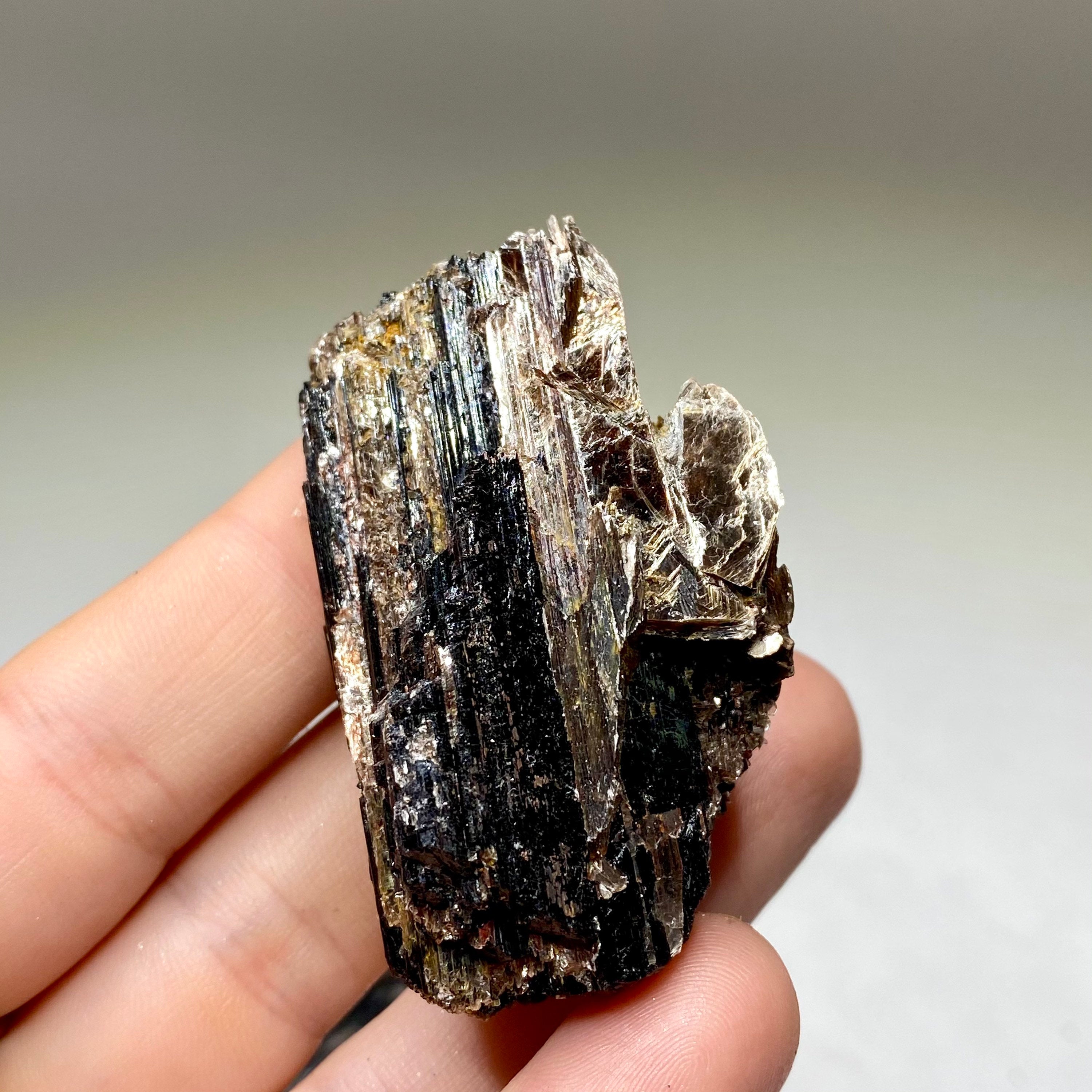 Black Tourmaline Crystal with Mica