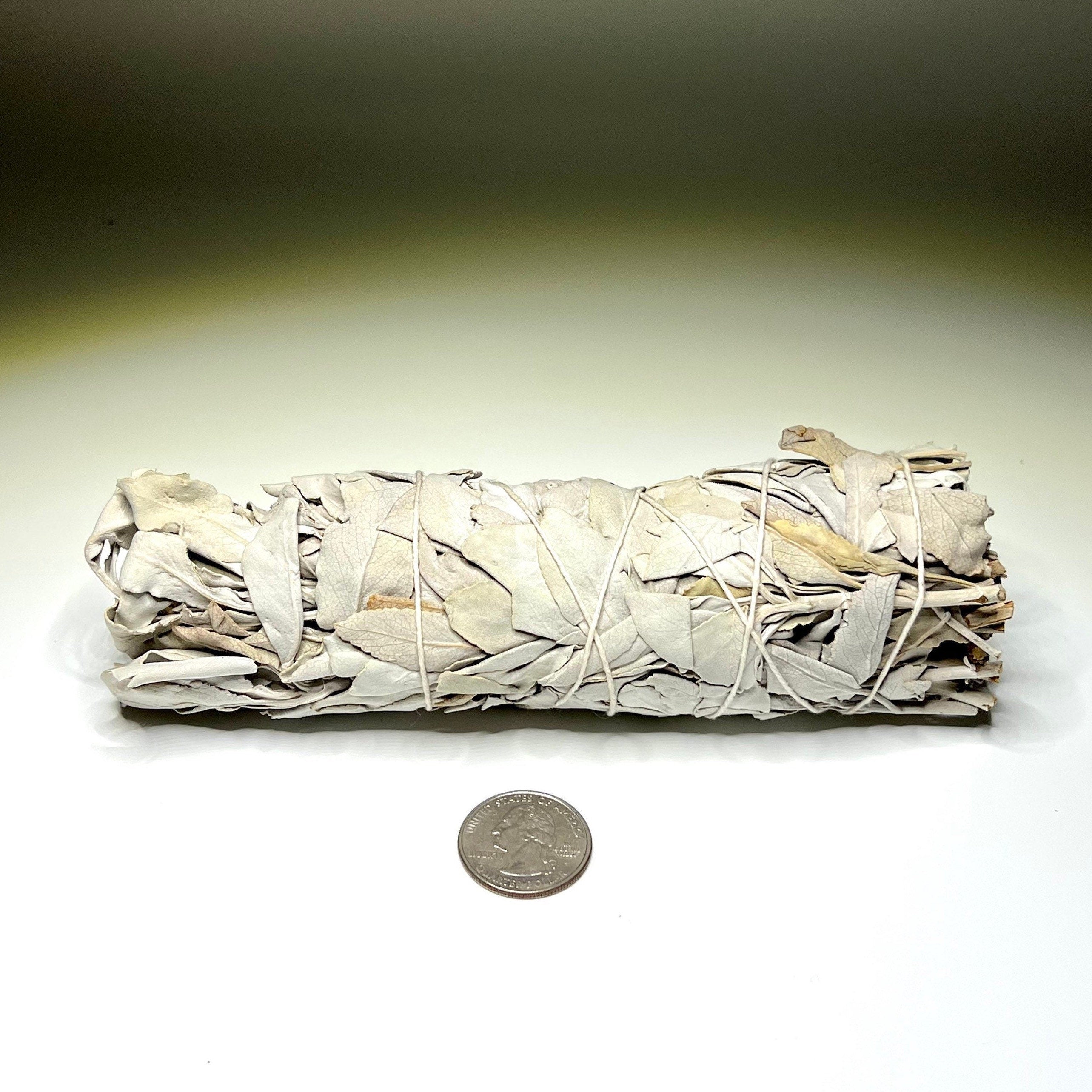 White Sage Smudge Sticks