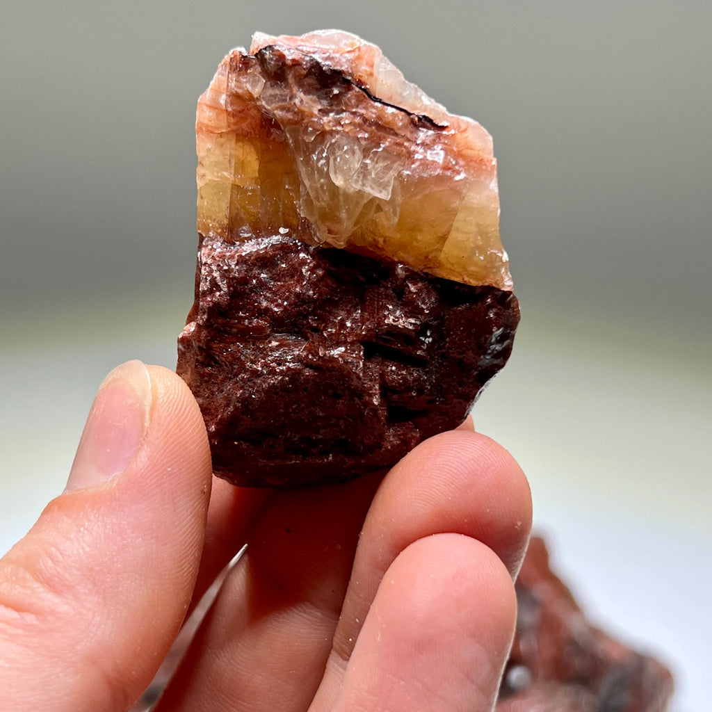 Mahogany Calcite Crystal from Mexico