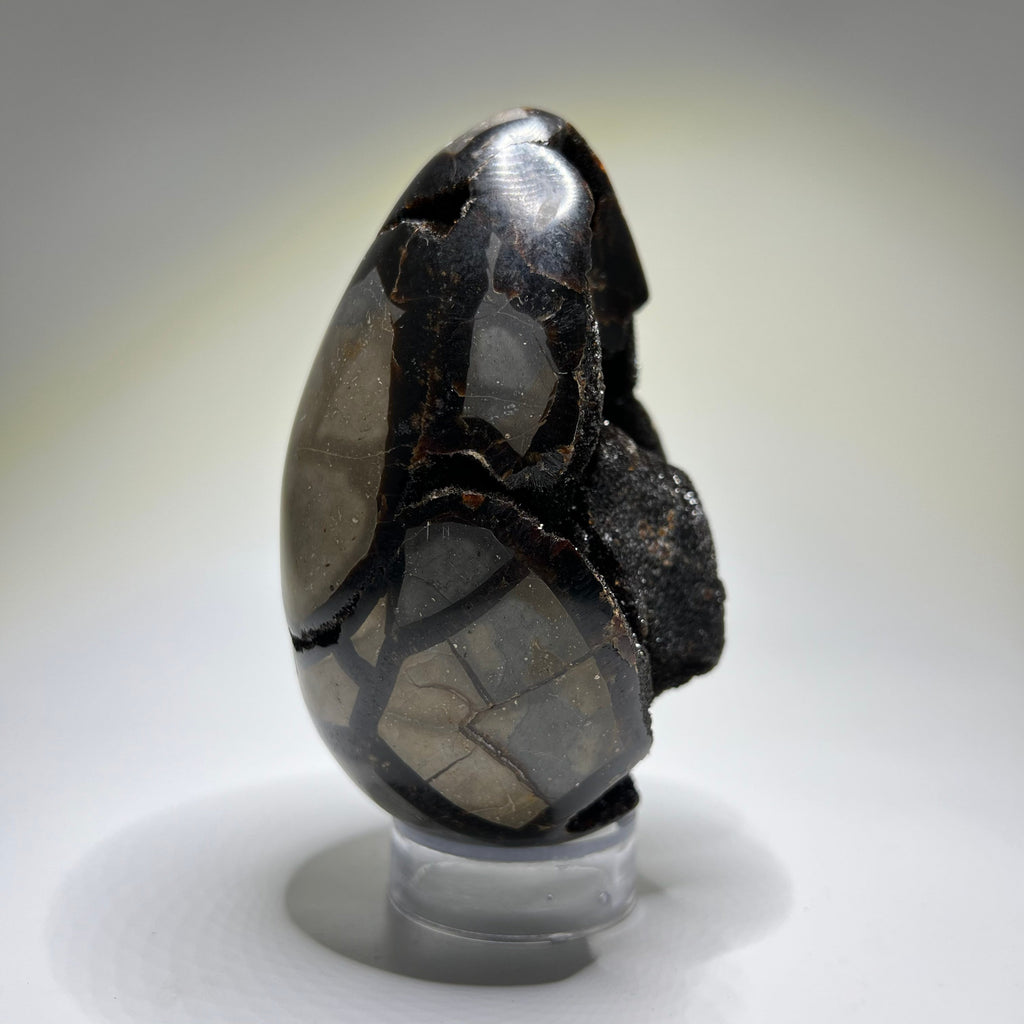 Septarian Crystal Egg