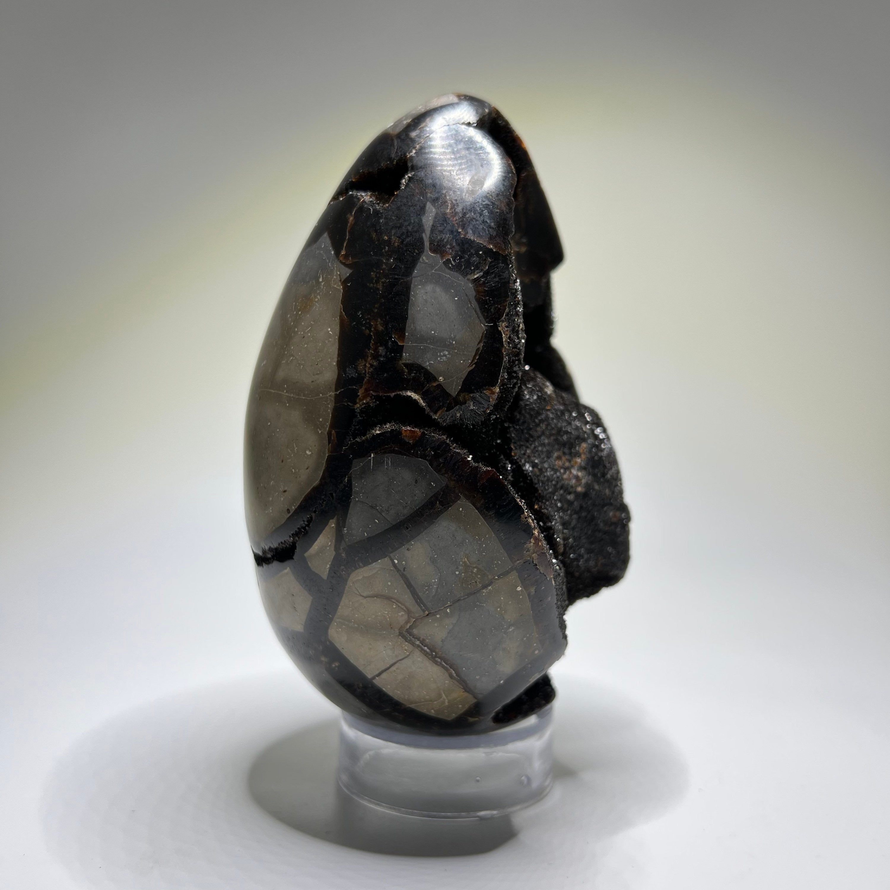 Septarian Crystal Egg