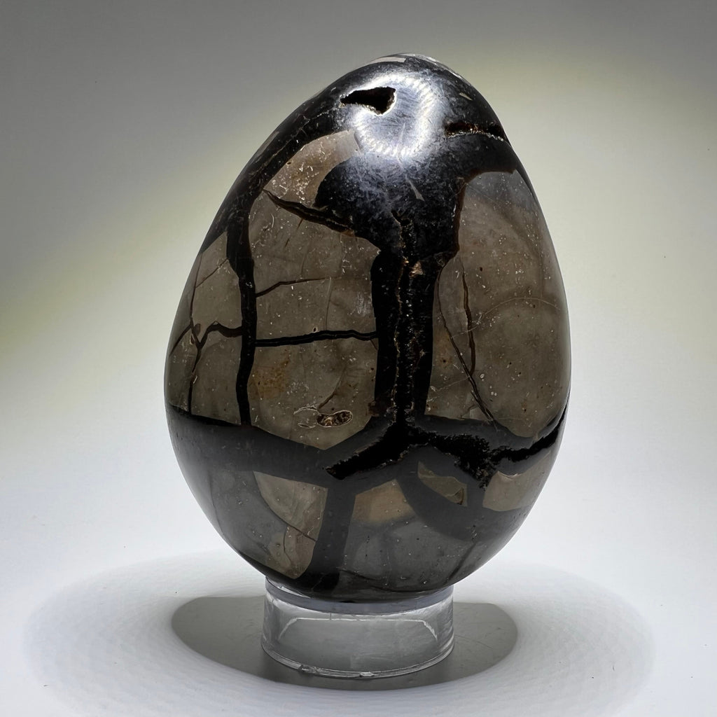 Septarian Crystal Egg