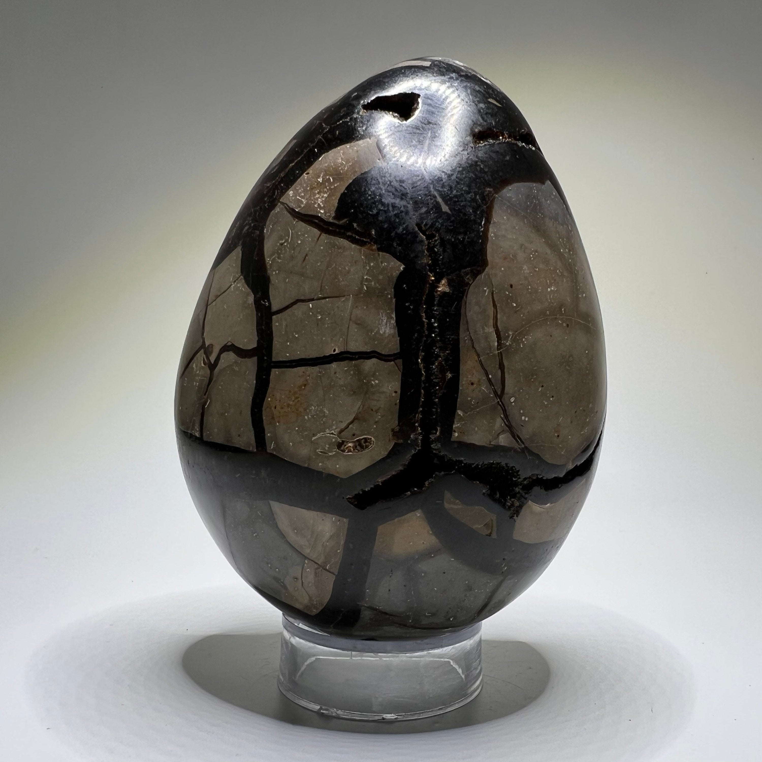 Septarian Crystal Egg