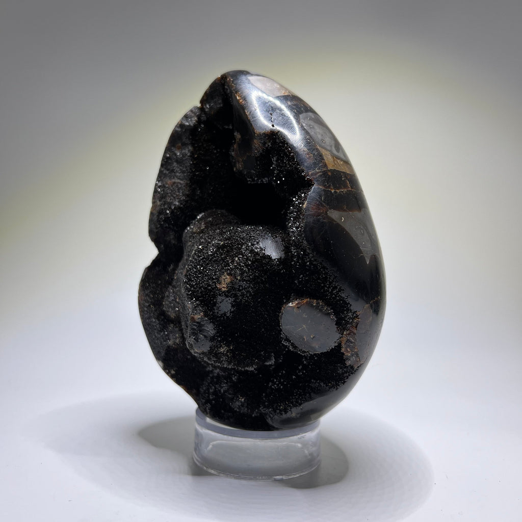 Septarian Crystal Egg