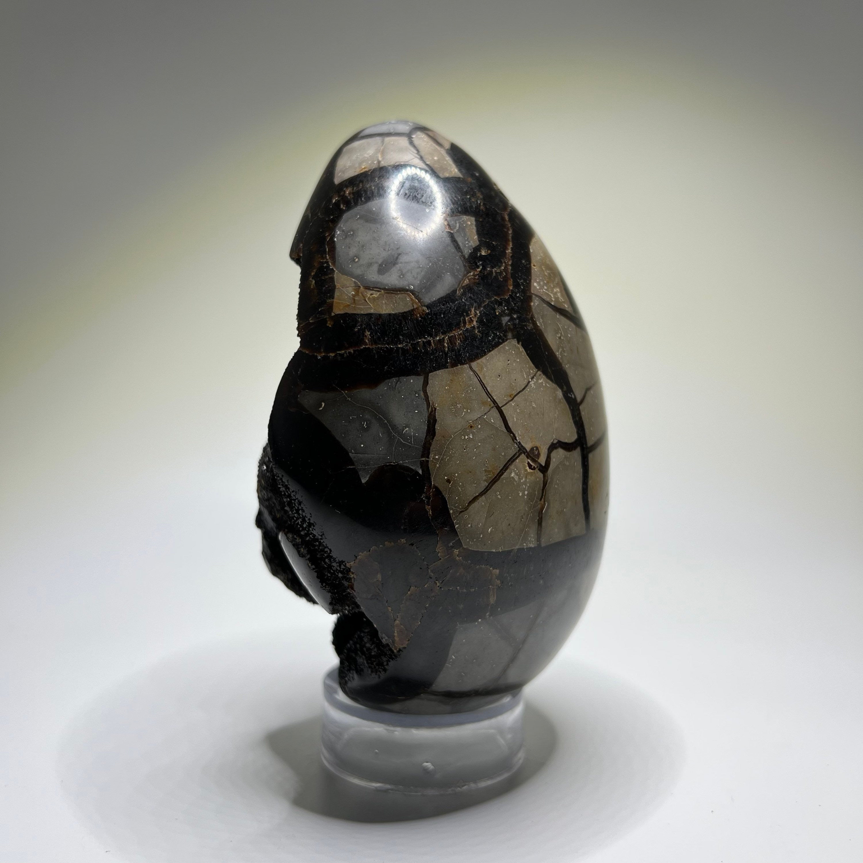 Septarian Crystal Egg