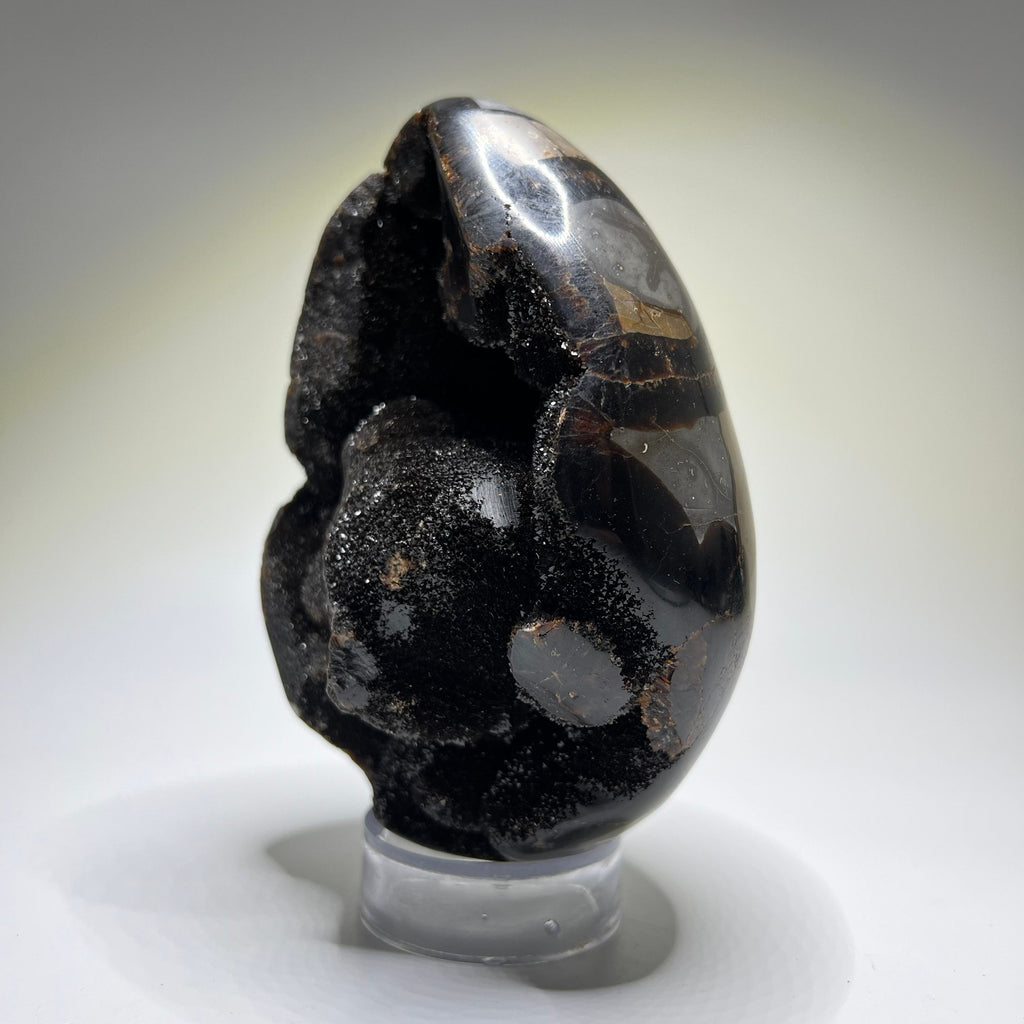 Septarian Crystal Egg
