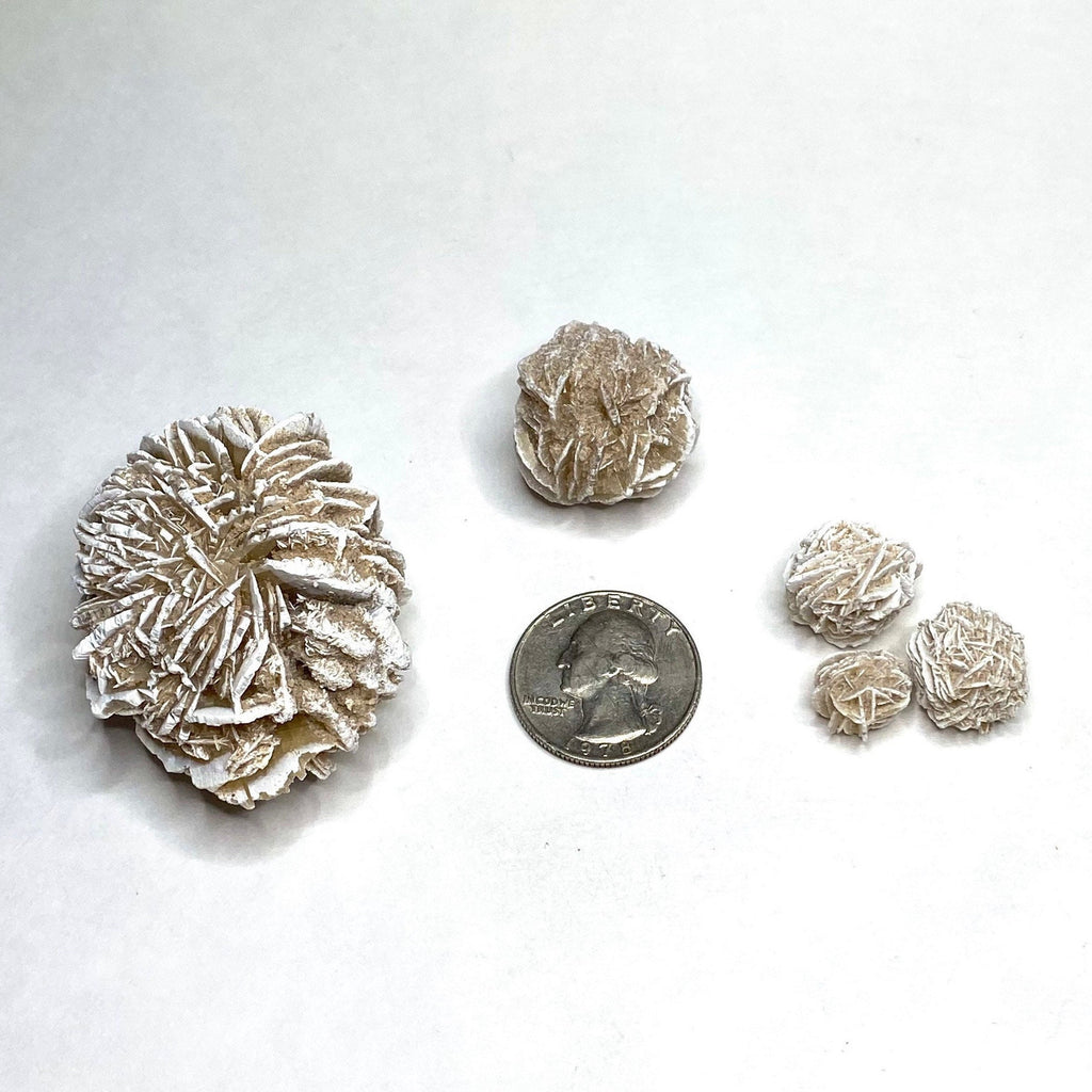 Natural Desert Rose Selenite Crystal Cluster