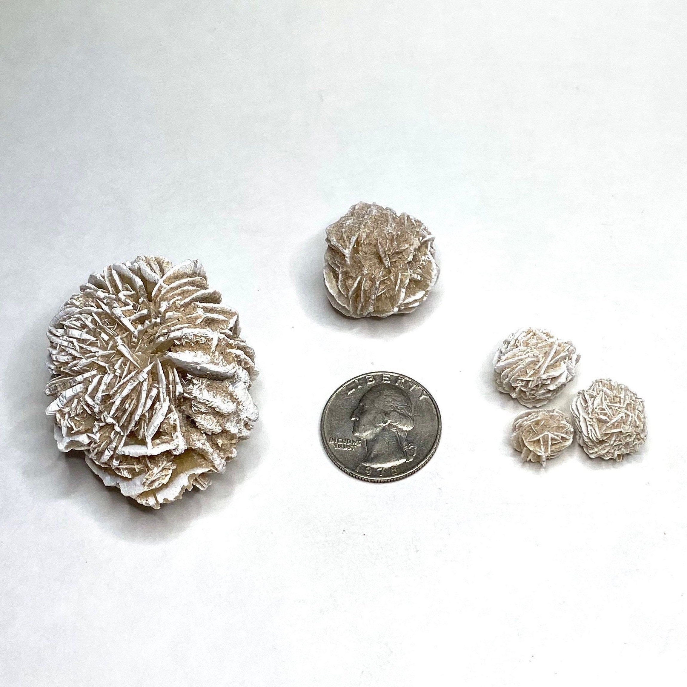 Natural Desert Rose Selenite Crystal Cluster