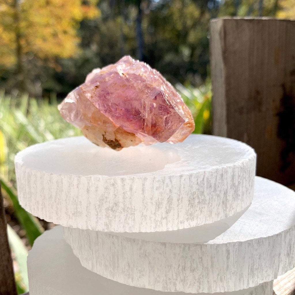 Selenite Charging Plate: 4 Inch Selenite Disk from Morocco