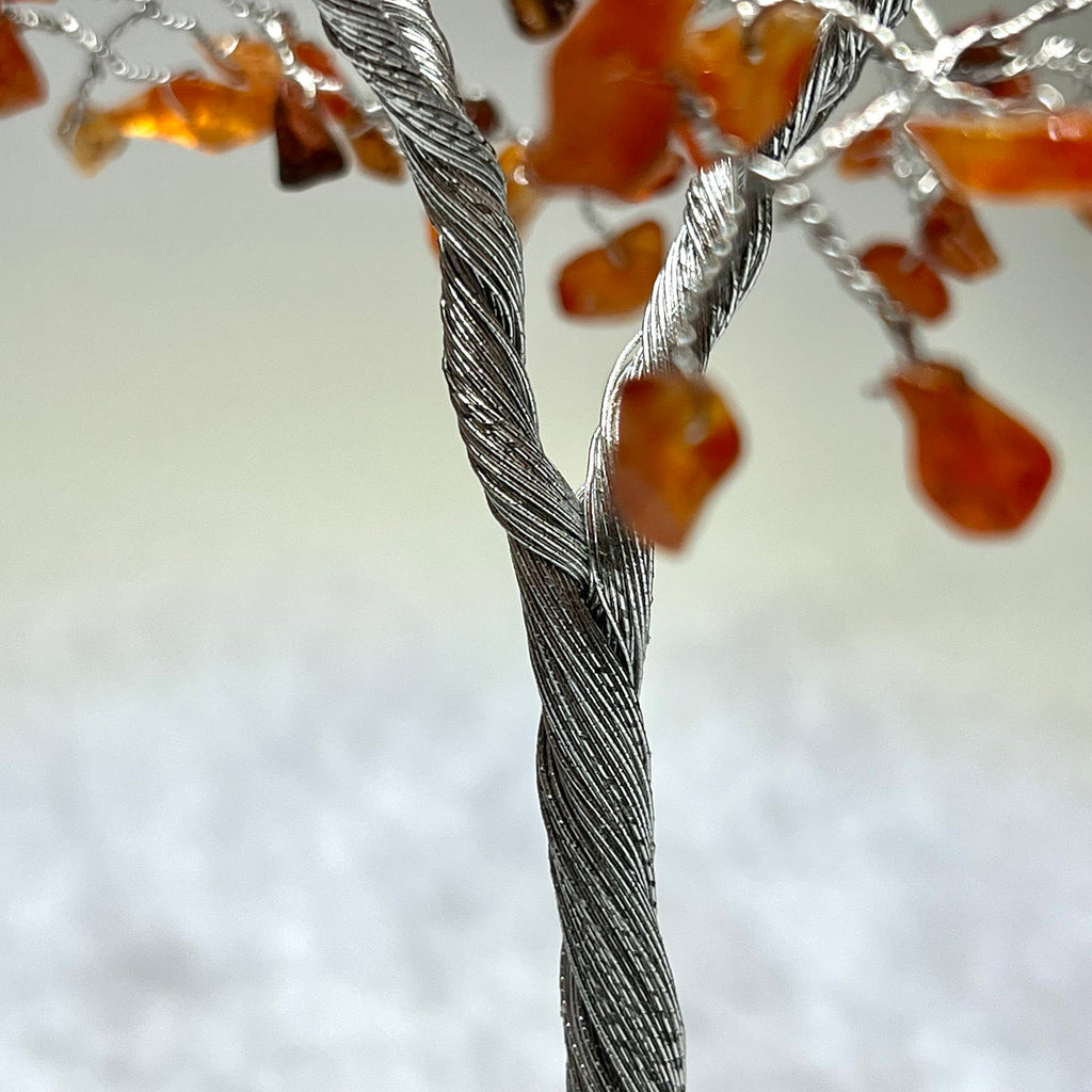 Carnelian Crystal Tree, Carnelian Gemstone Tree with Apophyllite Crystal Base