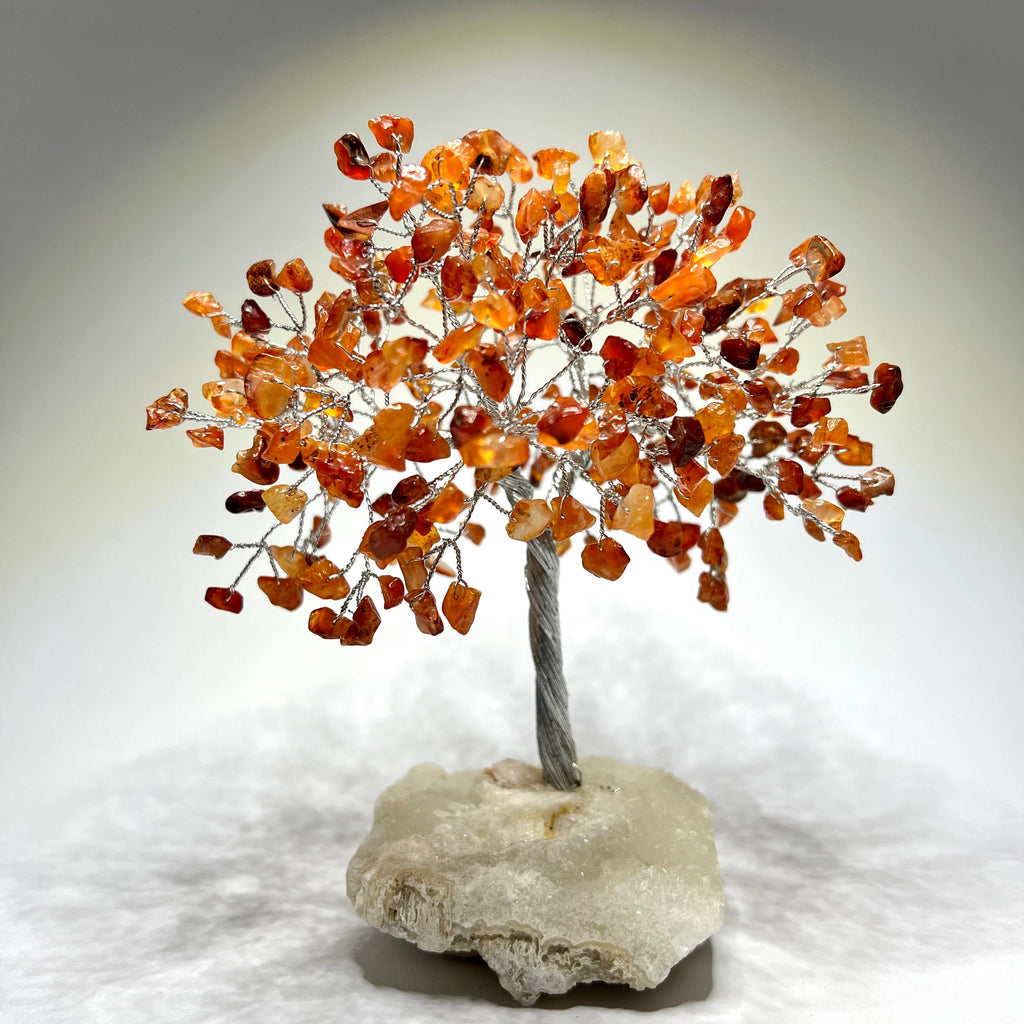 Carnelian Crystal Tree, Carnelian Gemstone Tree with Apophyllite Crystal Base