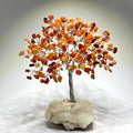 Carnelian Crystal Tree, Carnelian Gemstone Tree with Apophyllite Crystal Base
