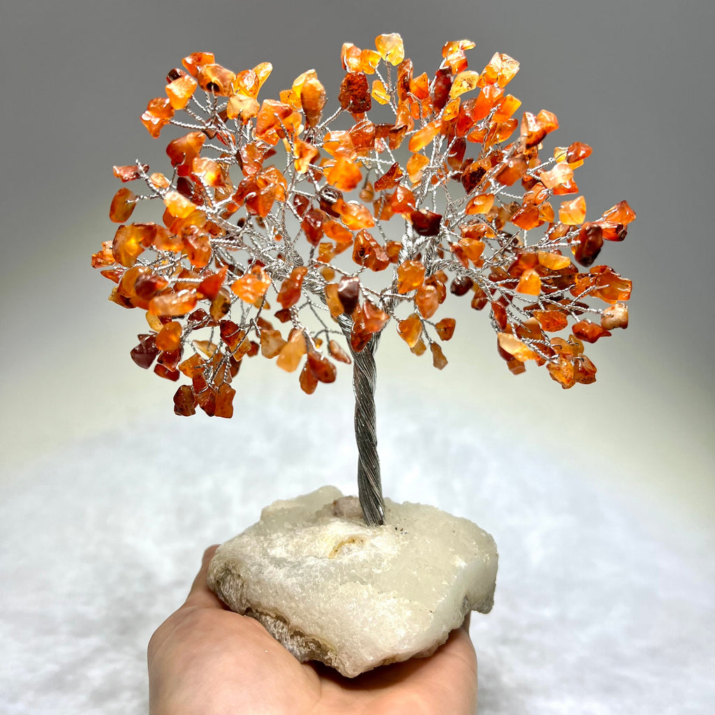 Carnelian Crystal Tree, Carnelian Gemstone Tree with Apophyllite Crystal Base