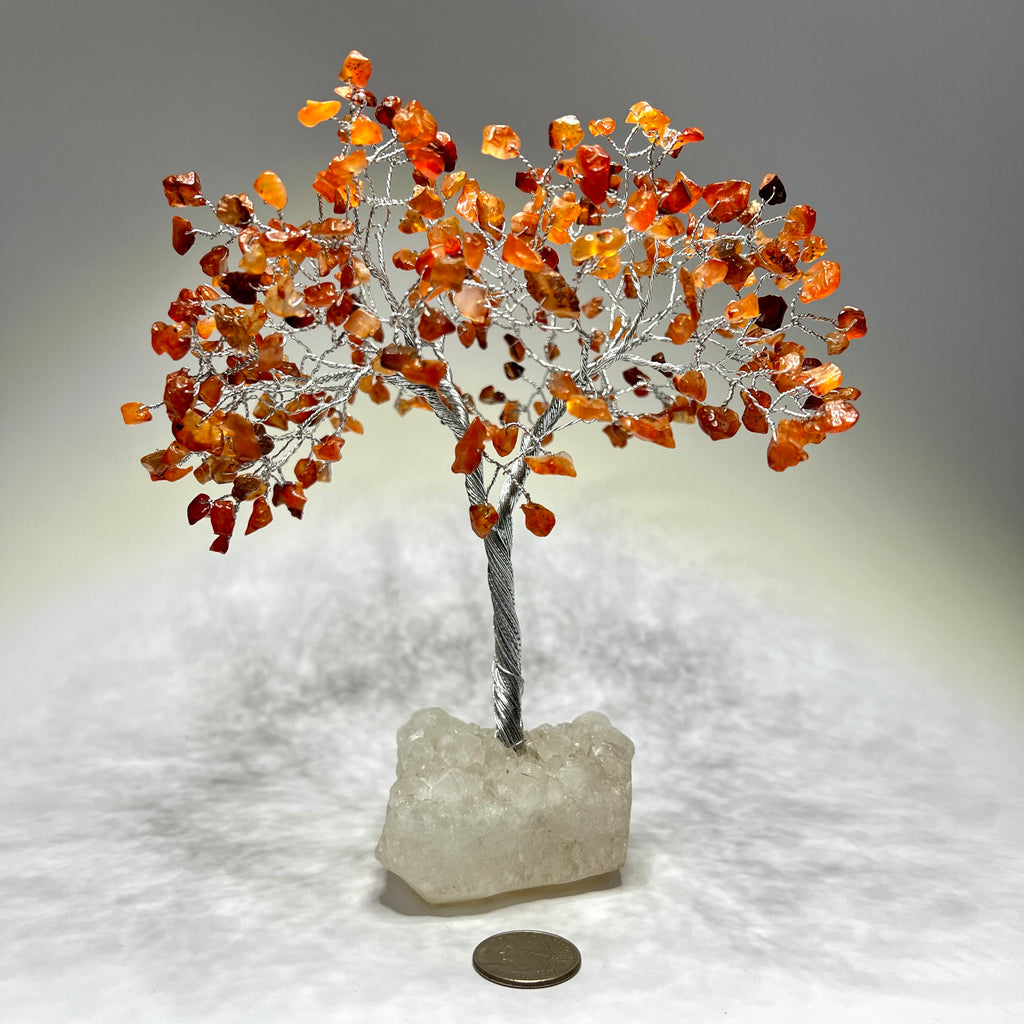 Carnelian Crystal Tree, Carnelian Gemstone Tree with Apophyllite Crystal Base