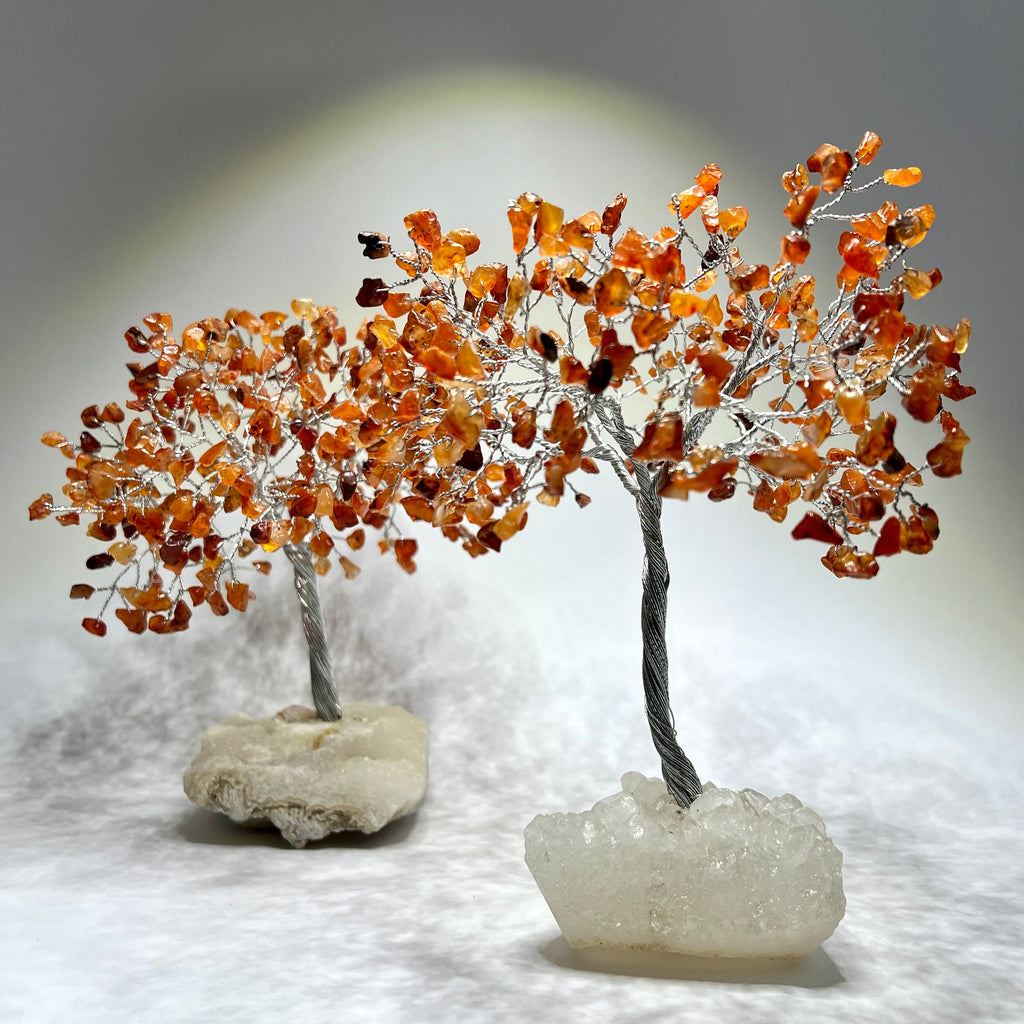 Carnelian Crystal Tree, Carnelian Gemstone Tree with Apophyllite Crystal Base