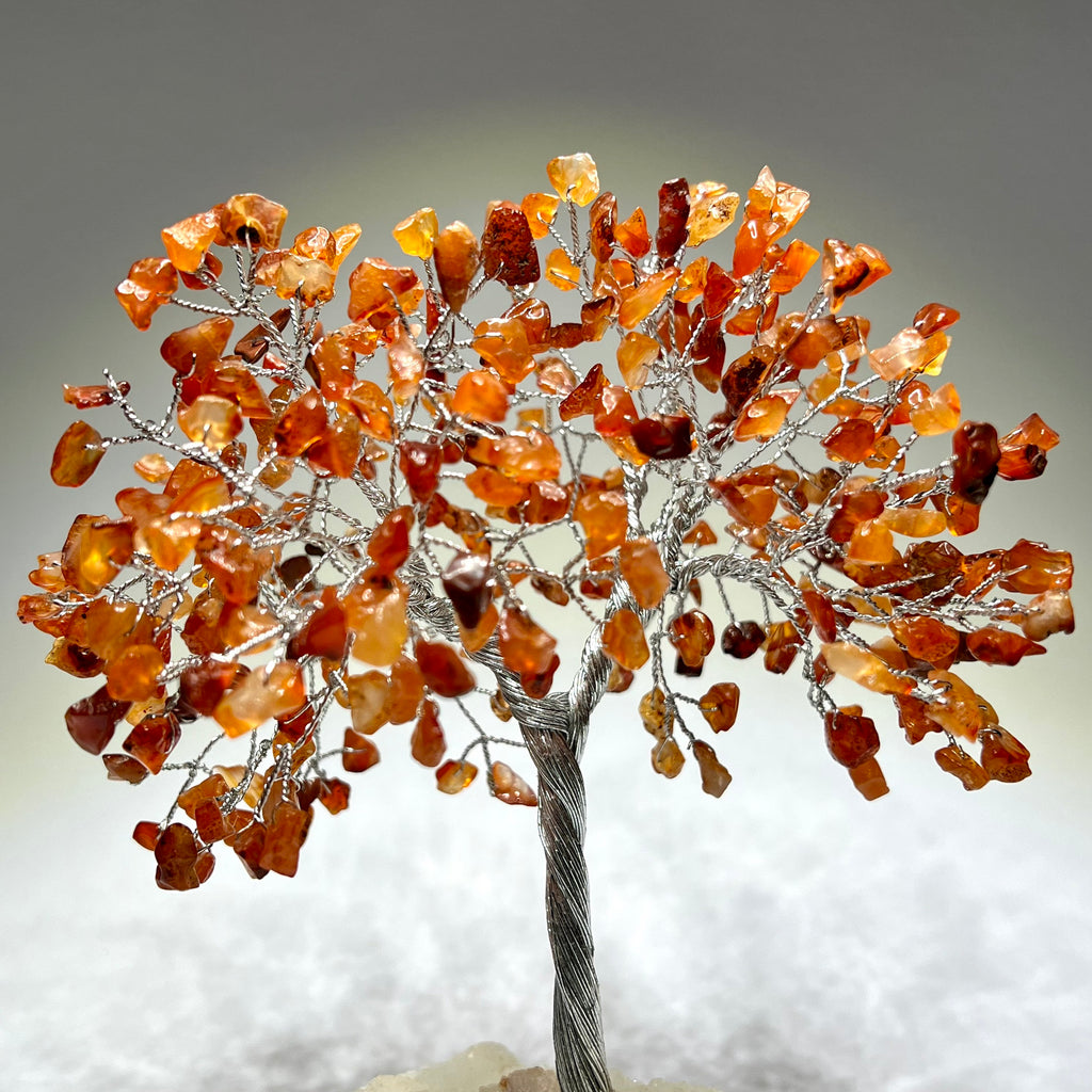 Carnelian Crystal Tree, Carnelian Gemstone Tree with Apophyllite Crystal Base
