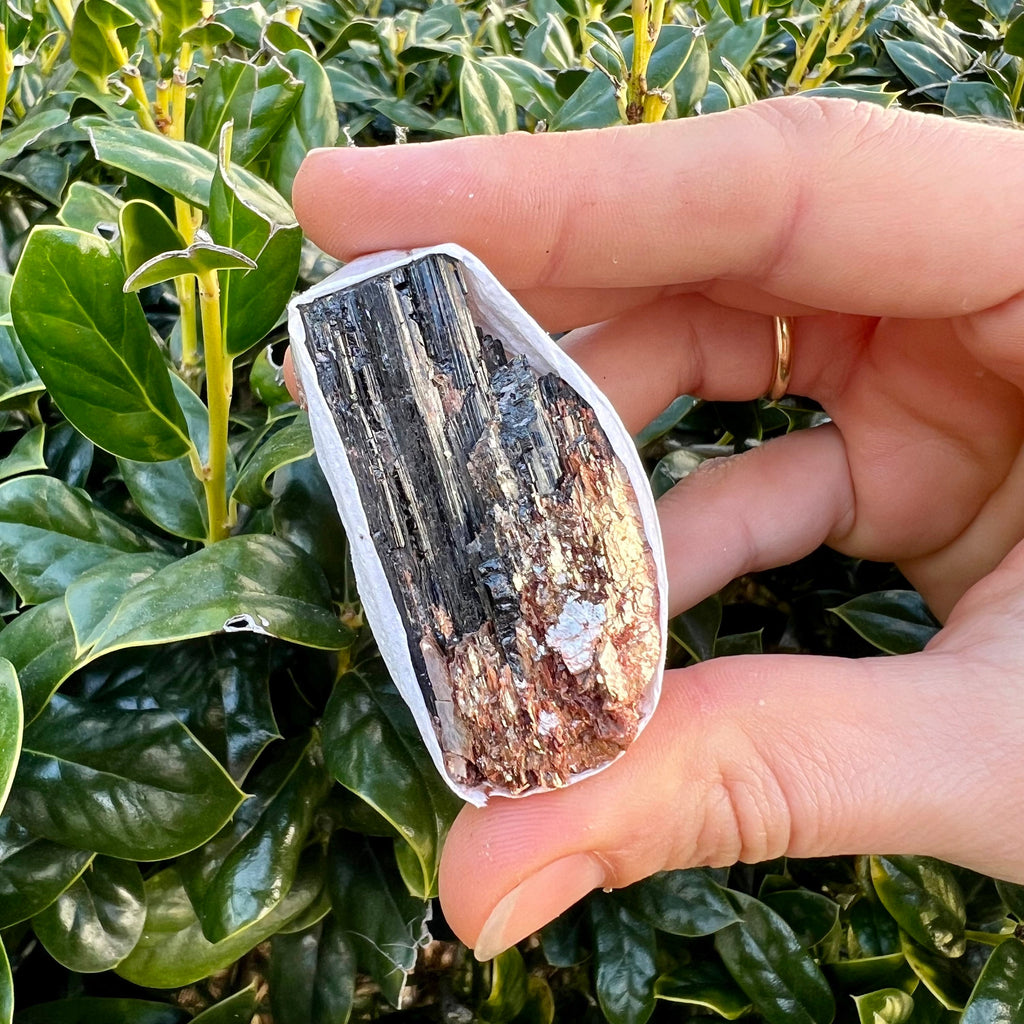 Black Tourmaline with Mica Crystal Flat, Quality 'A' Grade Tourmaline, Bulk Wholesale Crystals