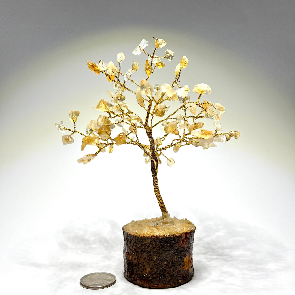 Citrine Crystal Tree: Gemstone Chips on Natural Wood Base