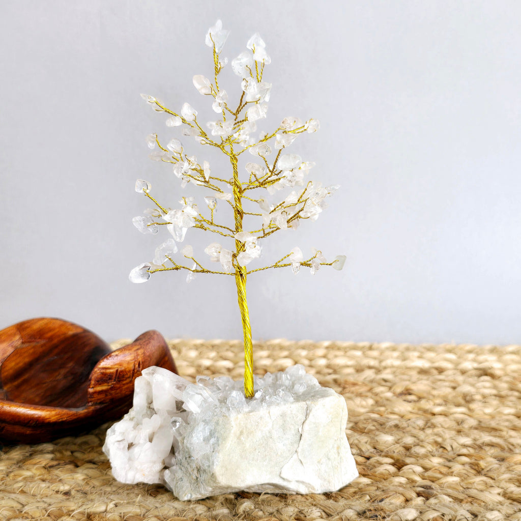 Clear Quartz Crystal Tree: Himalayan Quartz Cluster Base
