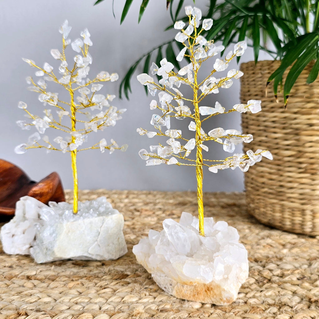 Clear Quartz Crystal Tree: Himalayan Quartz Cluster Base