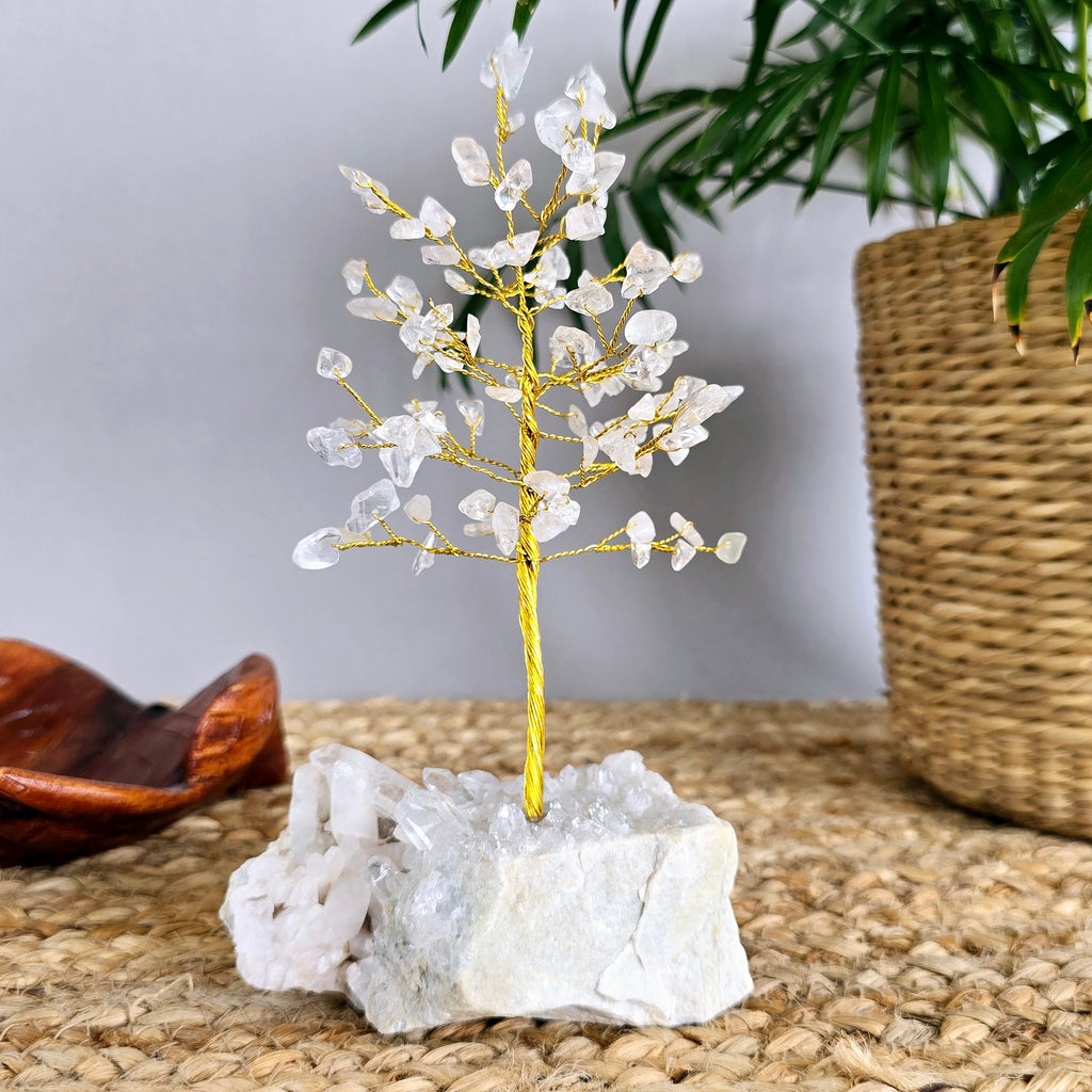 Clear Quartz Crystal Tree: Himalayan Quartz Cluster Base