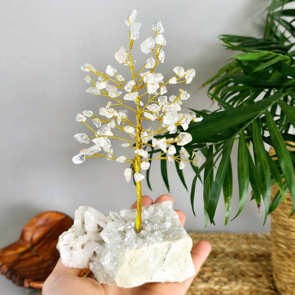 Clear Quartz Crystal Tree: Himalayan Quartz Cluster Base