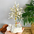Clear Quartz Crystal Tree: Himalayan Quartz Cluster Base