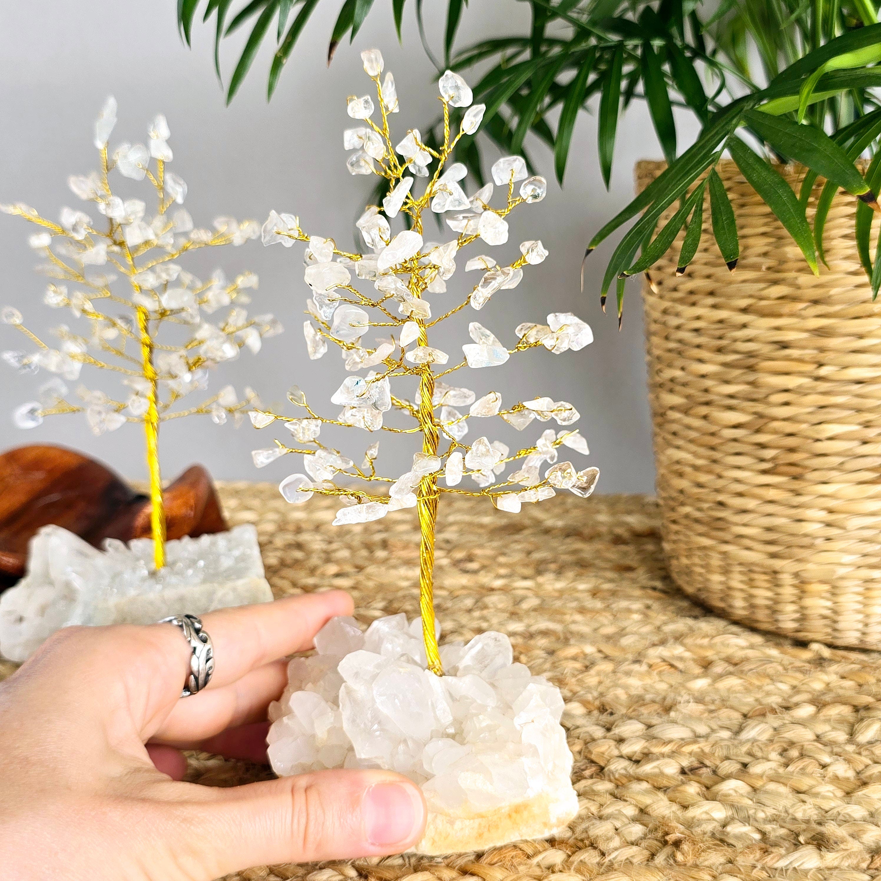 Clear Quartz Crystal Tree: Himalayan Quartz Cluster Base