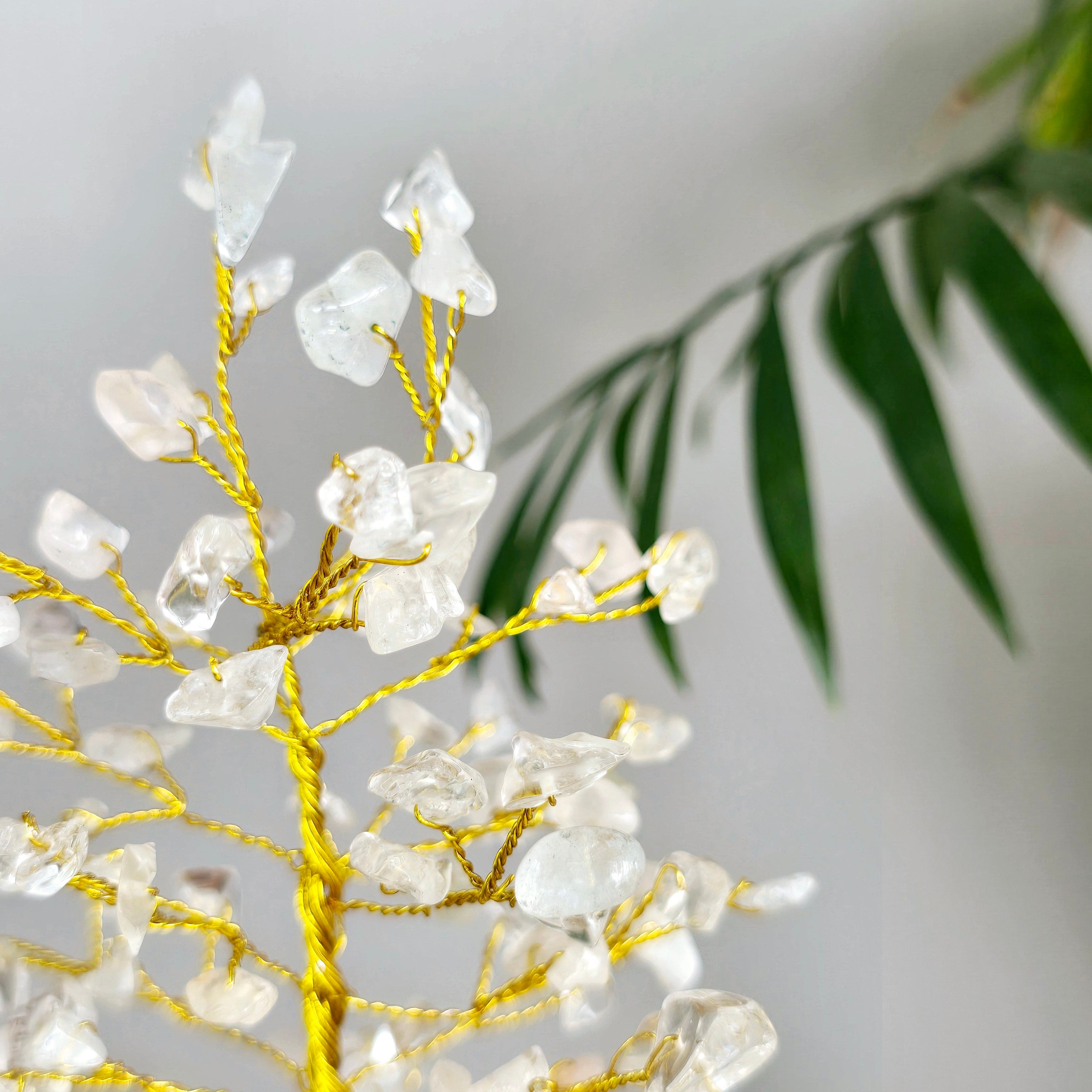 Clear Quartz Crystal Tree: Himalayan Quartz Cluster Base