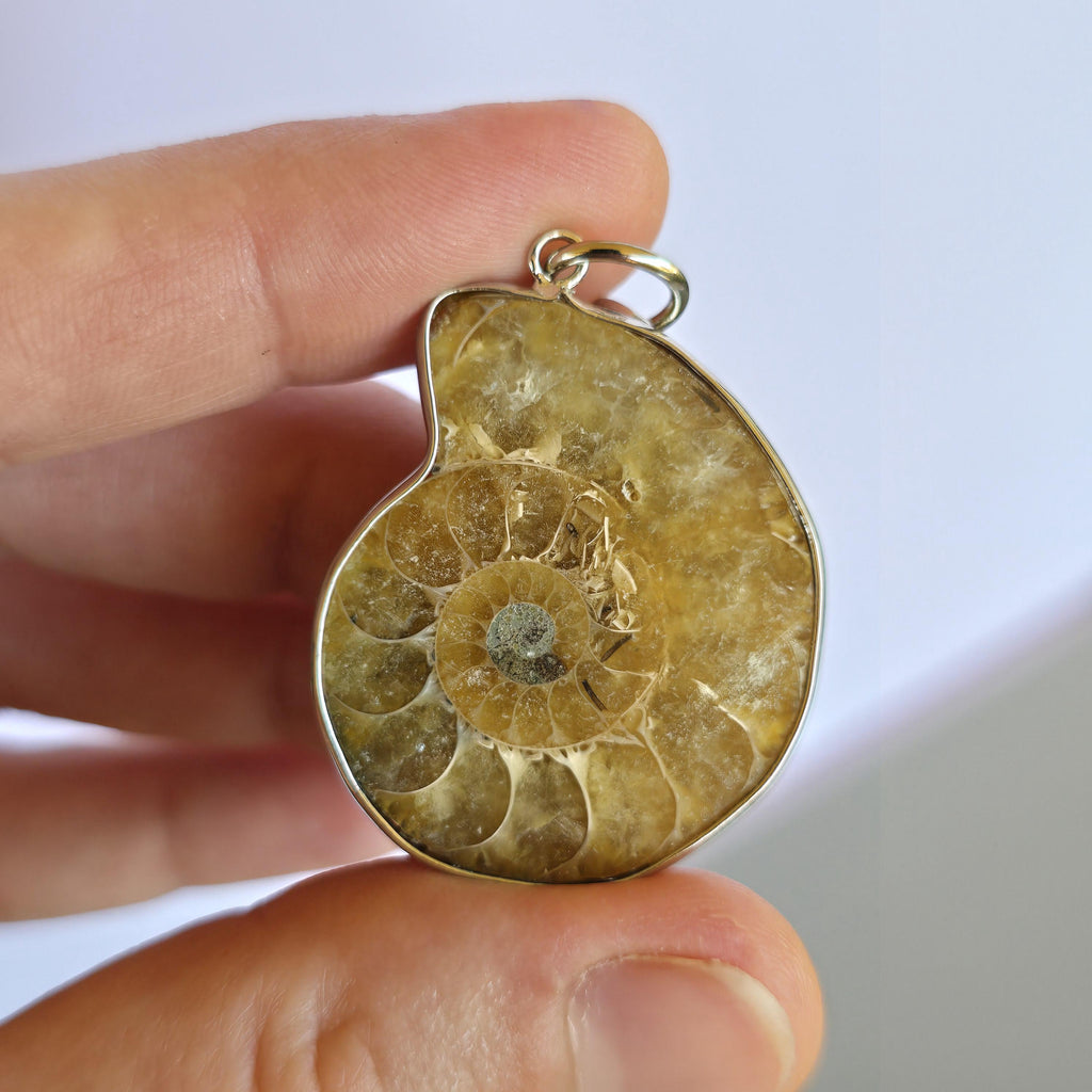 Ammonite Keychain - Nautilus Fossil Bag Tag