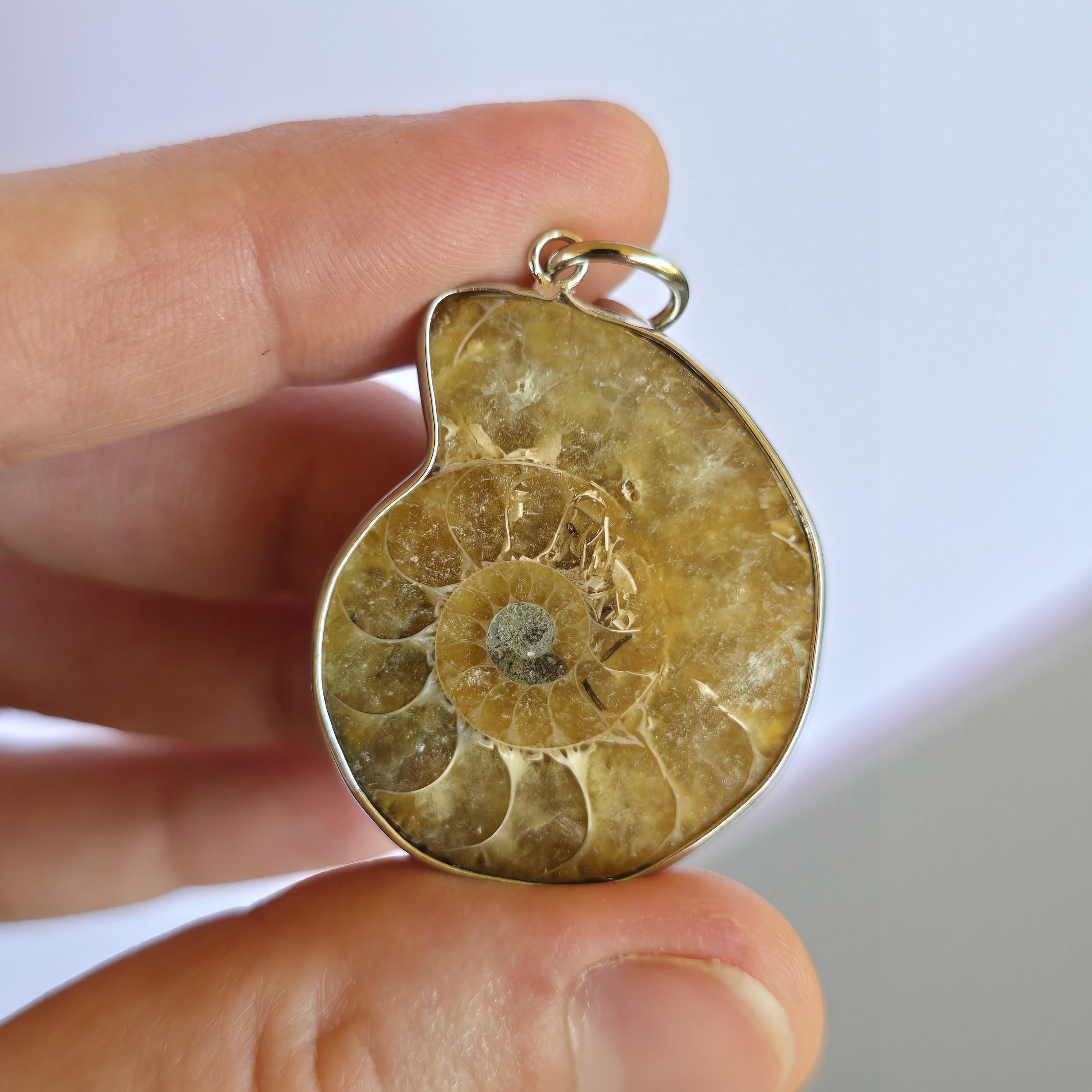 Ammonite Keychain - Nautilus Fossil Bag Tag