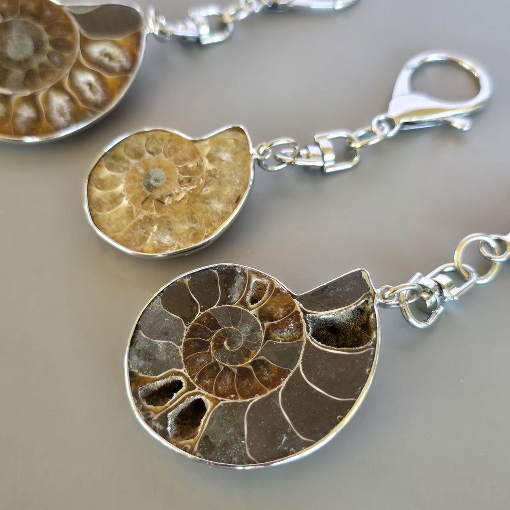 Ammonite Keychain - Nautilus Fossil Bag Tag