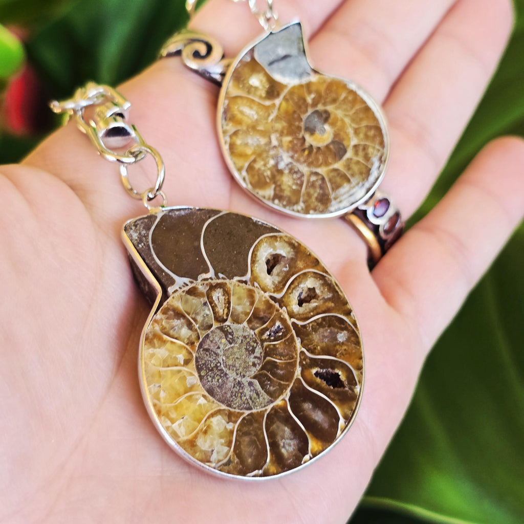 Ammonite Keychain - Nautilus Fossil Bag Tag