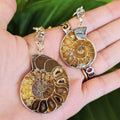 Ammonite Keychain - Nautilus Fossil Bag Tag