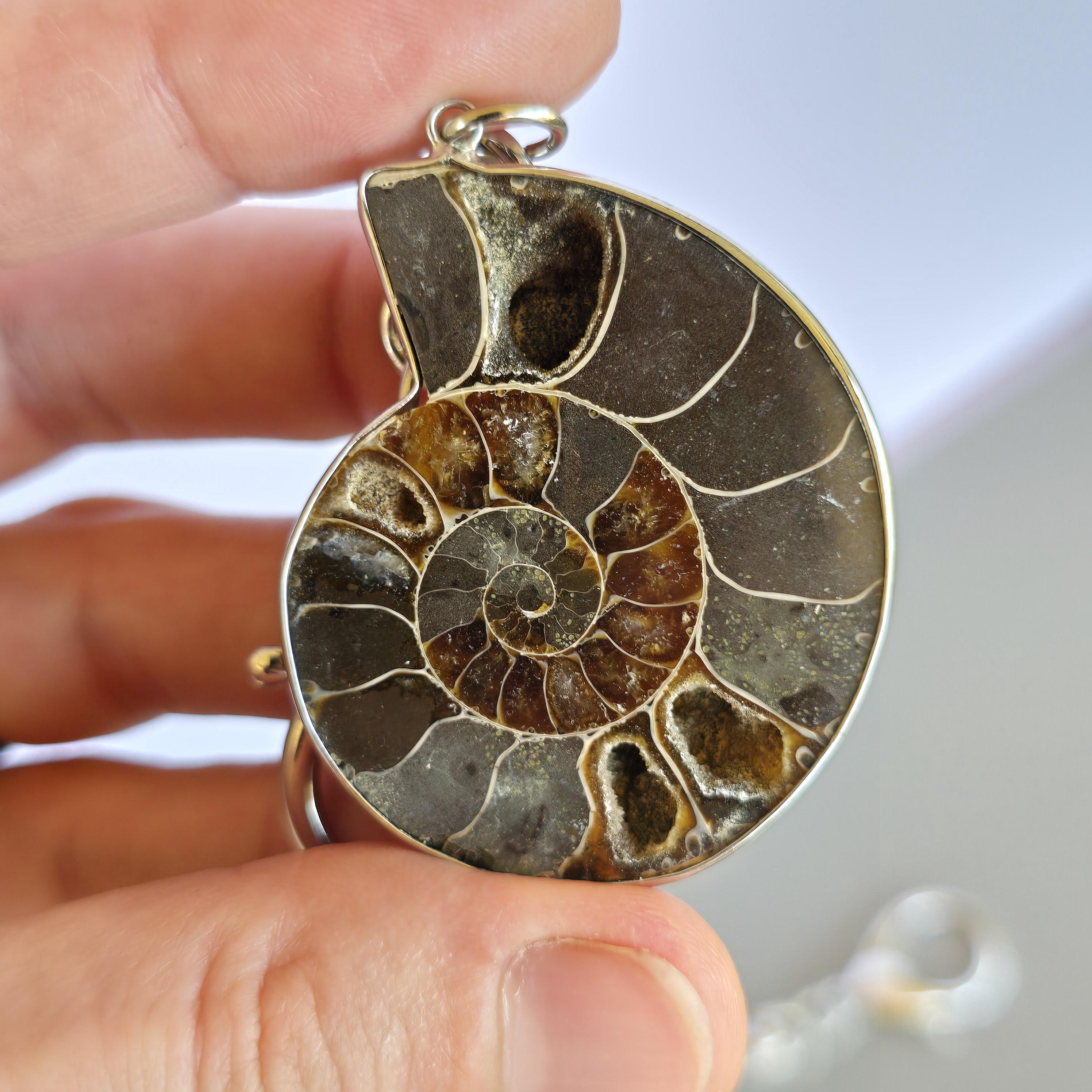 Ammonite Keychain - Nautilus Fossil Bag Tag