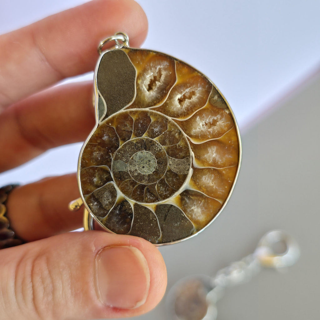 Ammonite Keychain - Nautilus Fossil Bag Tag