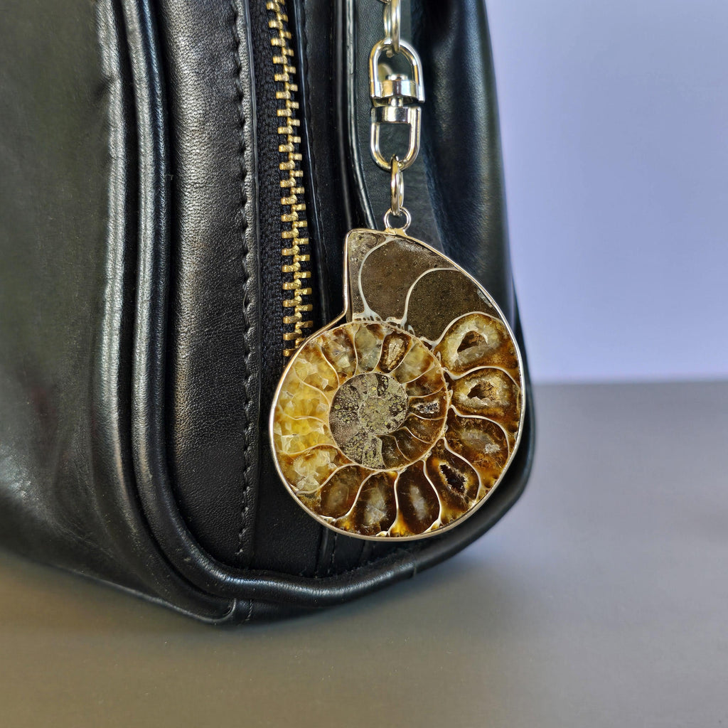 Ammonite Keychain - Nautilus Fossil Bag Tag