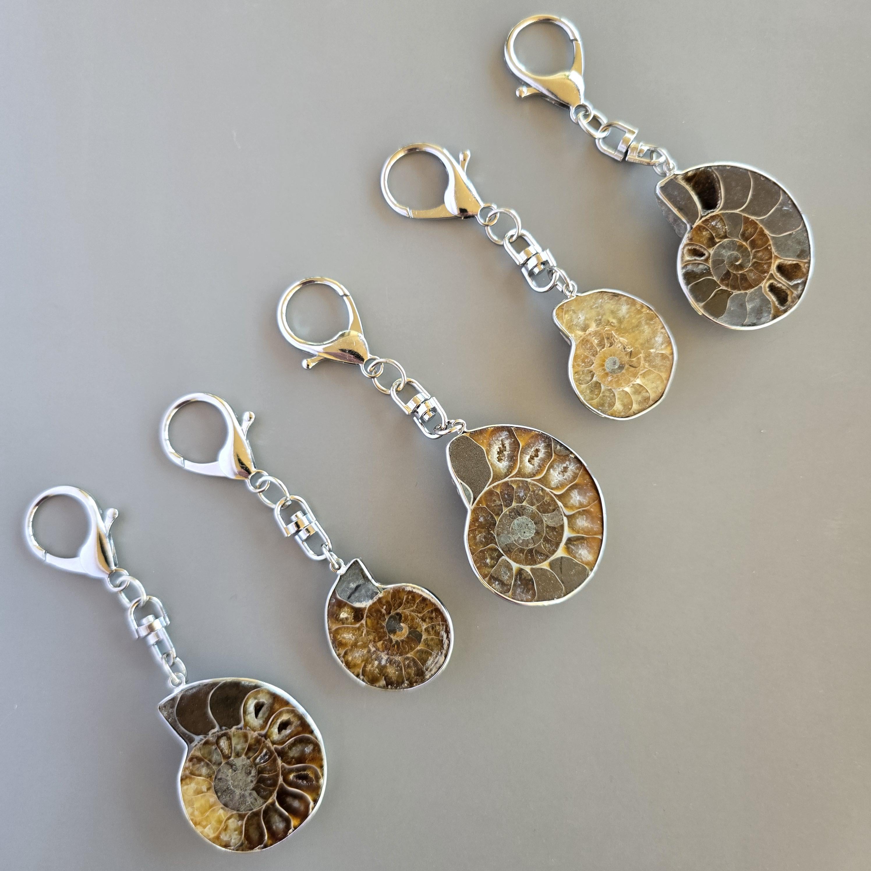 Ammonite Keychain - Nautilus Fossil Bag Tag